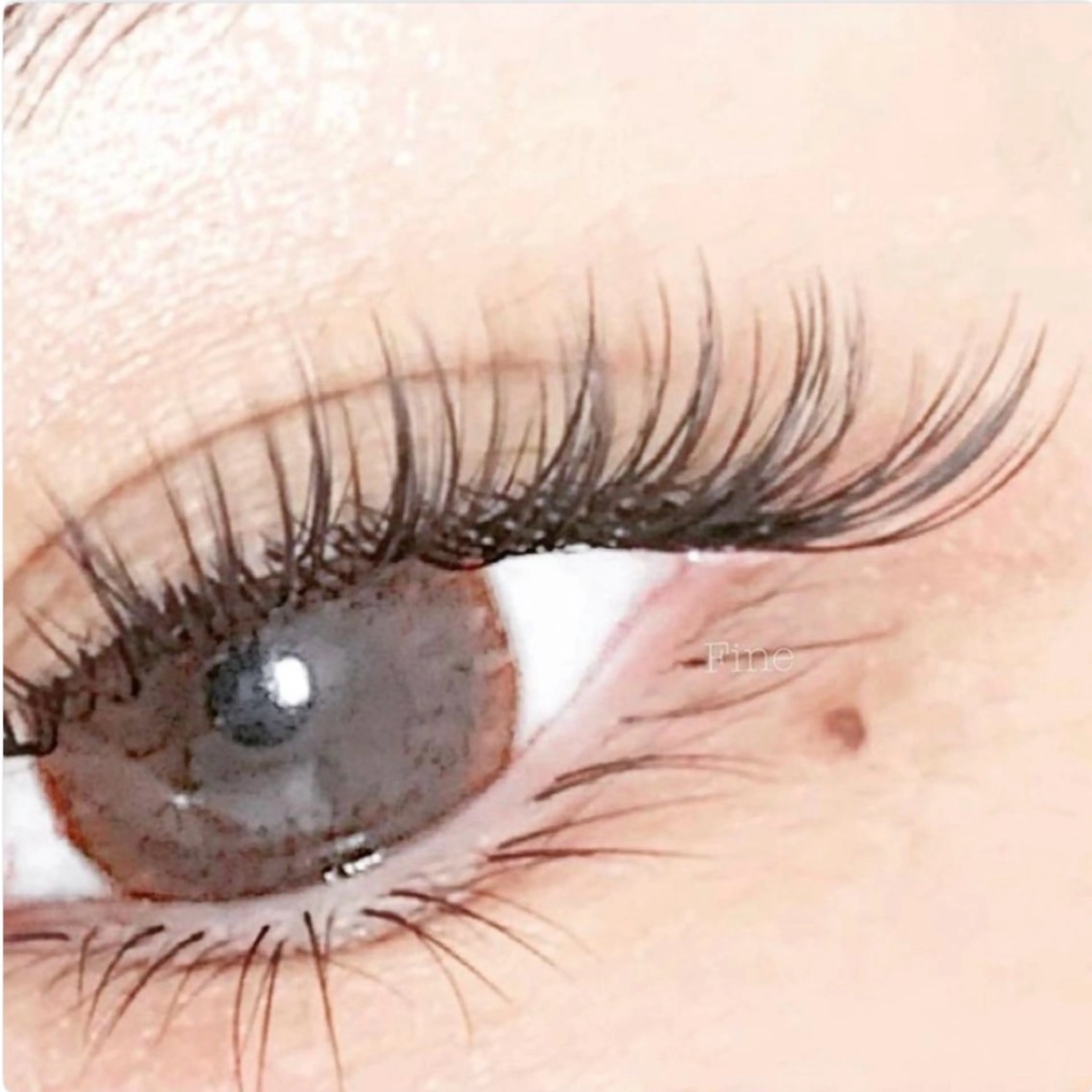 マツエク・マツパ ボリュームラッシュ Fine eyelas/eyebrow所属・Fine スタッフのマツエク・マツパデザイン