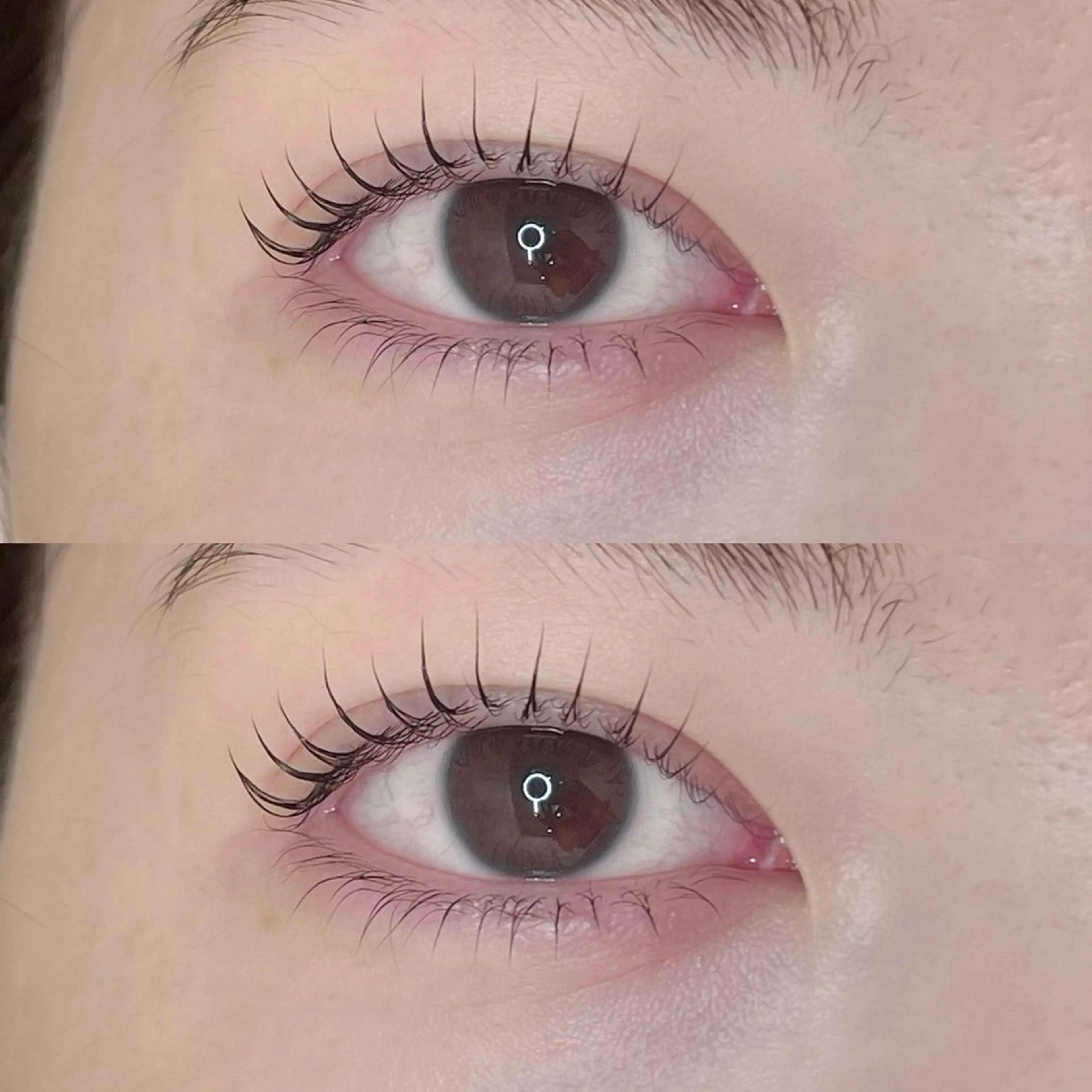 まつ毛パーマ 上下 🐱🐾の写真