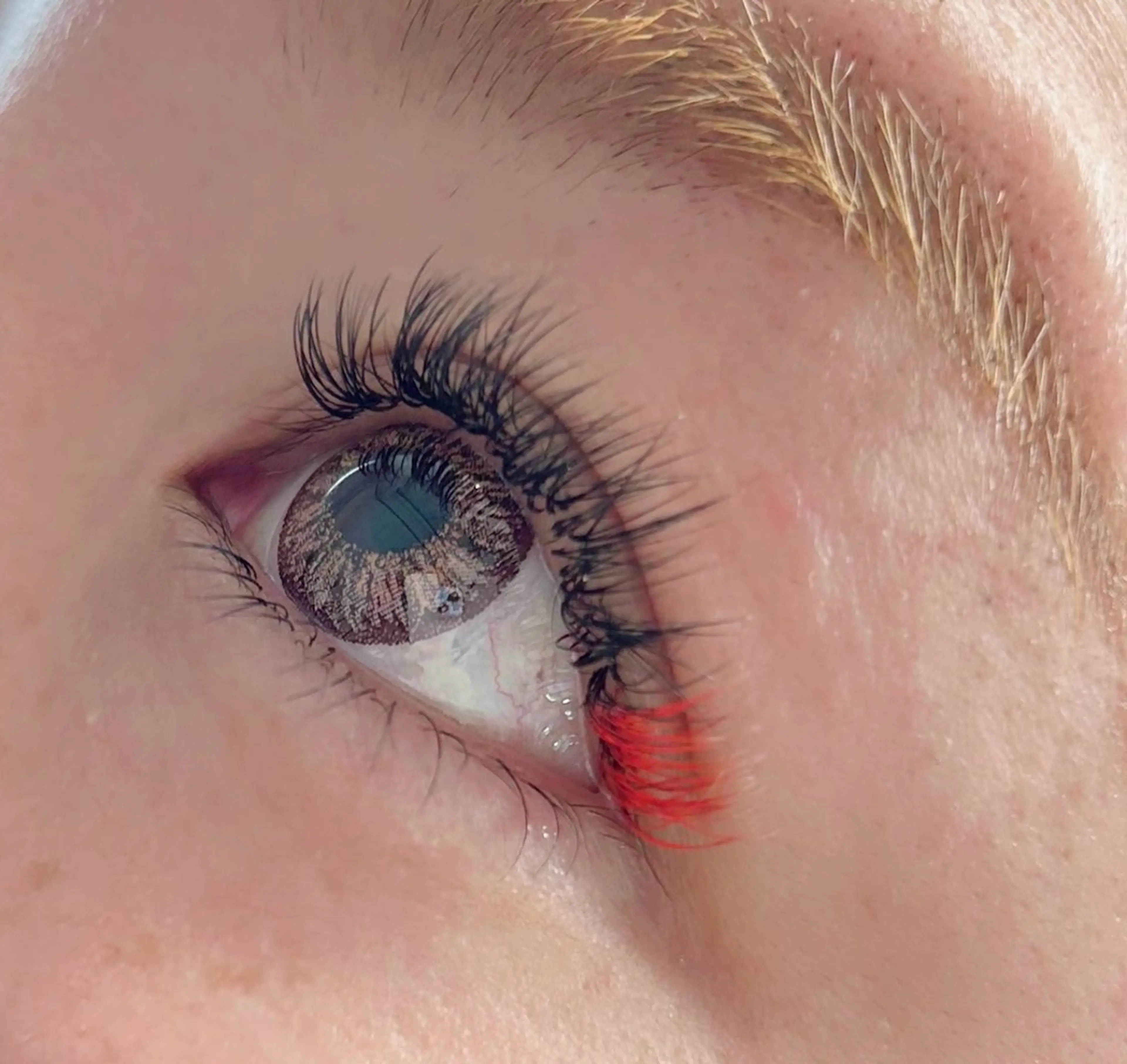 マツエク・マツパ Fierte所属・Fierte /Chihiroのマツエク・マツパデザイン