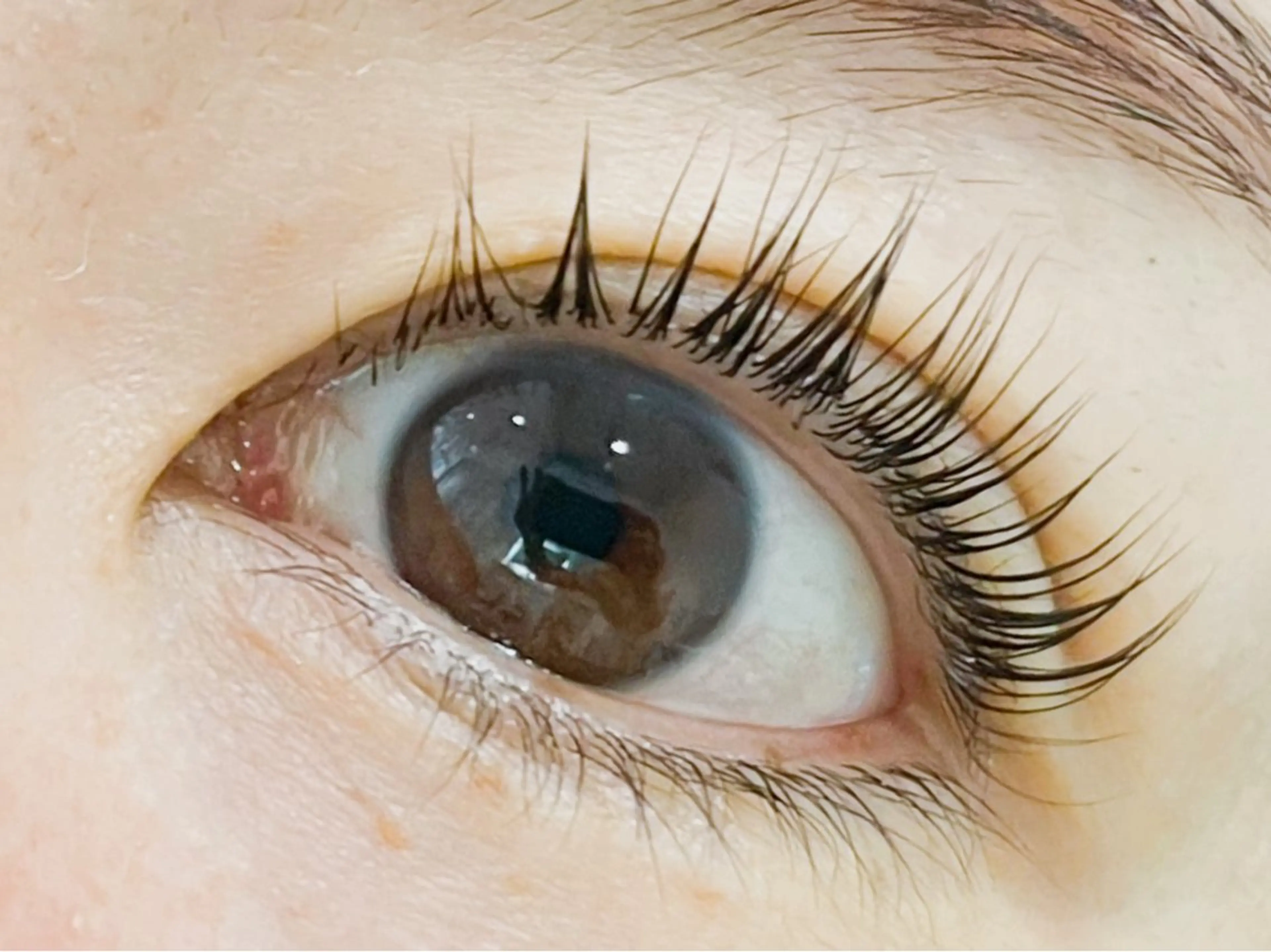 ※🌈【ミニモ学割Ｕ24】パリジェンヌラッシュリフト、アイシャンプー付き🌈根元から立ち上げパーマ¥4900の写真