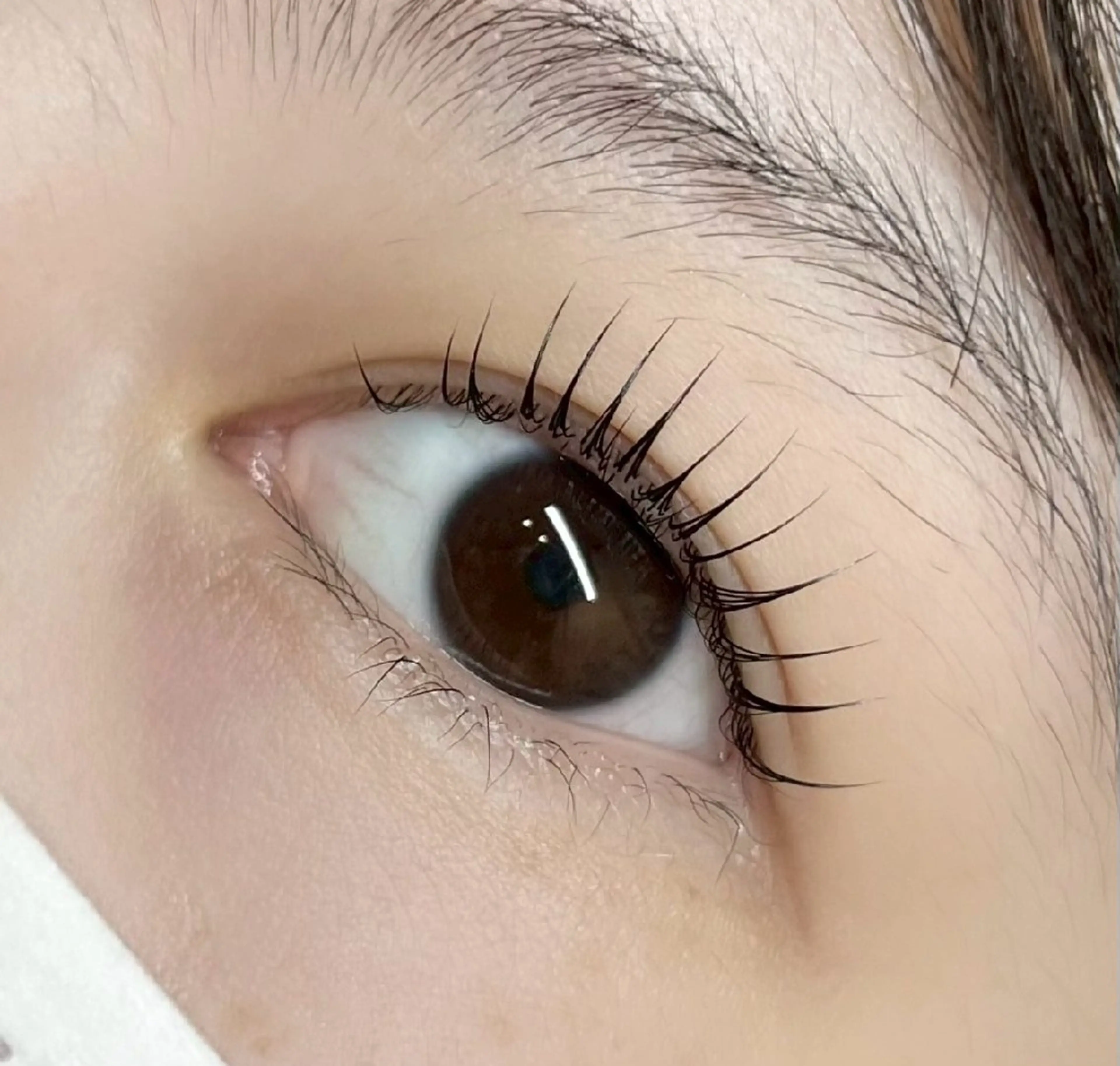 似合わせまつ毛パーマ(ケラチントリートメント付き)の写真