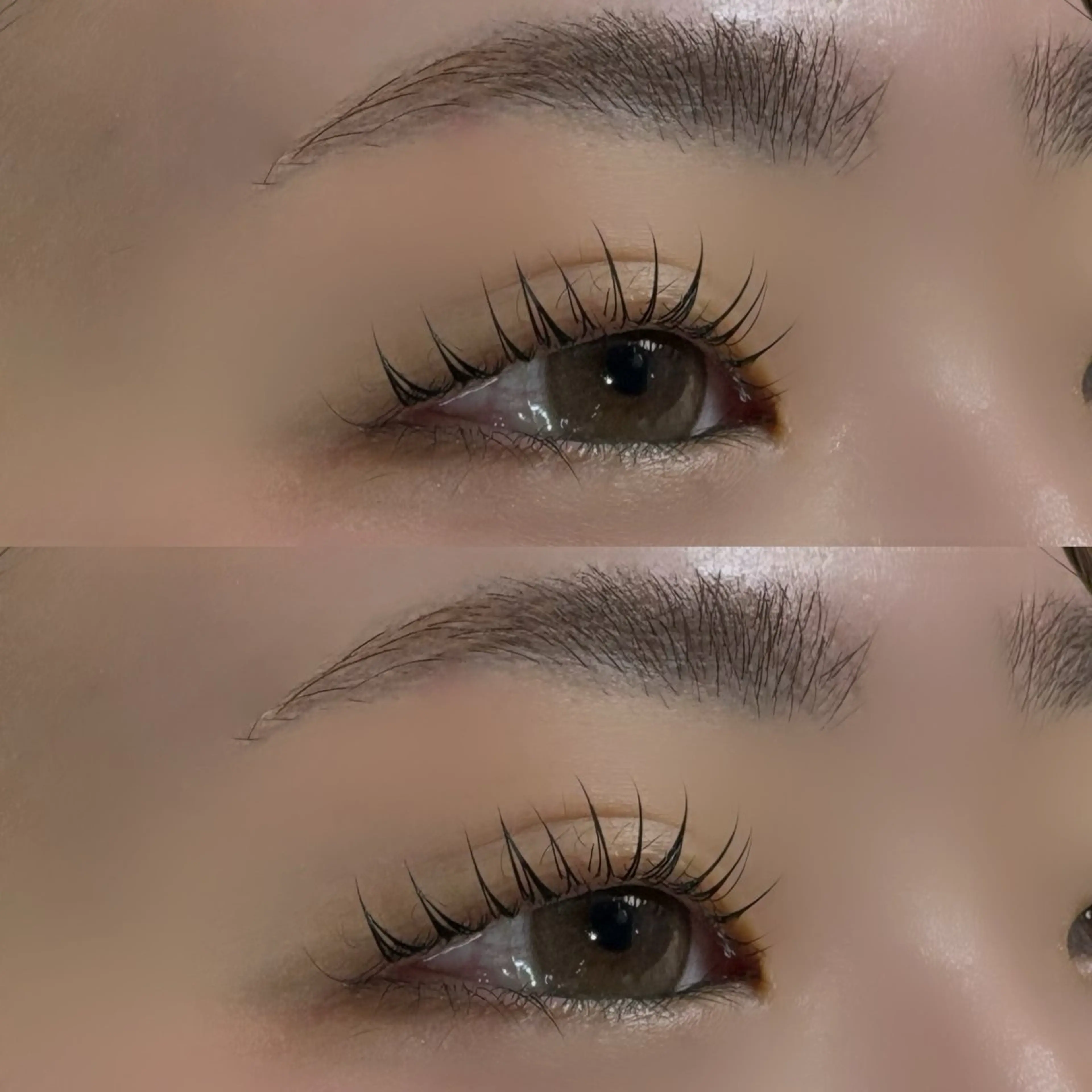 《4/15.16.17日限定 》🎀まつげパーマ🎀(1時間45分程度)の写真