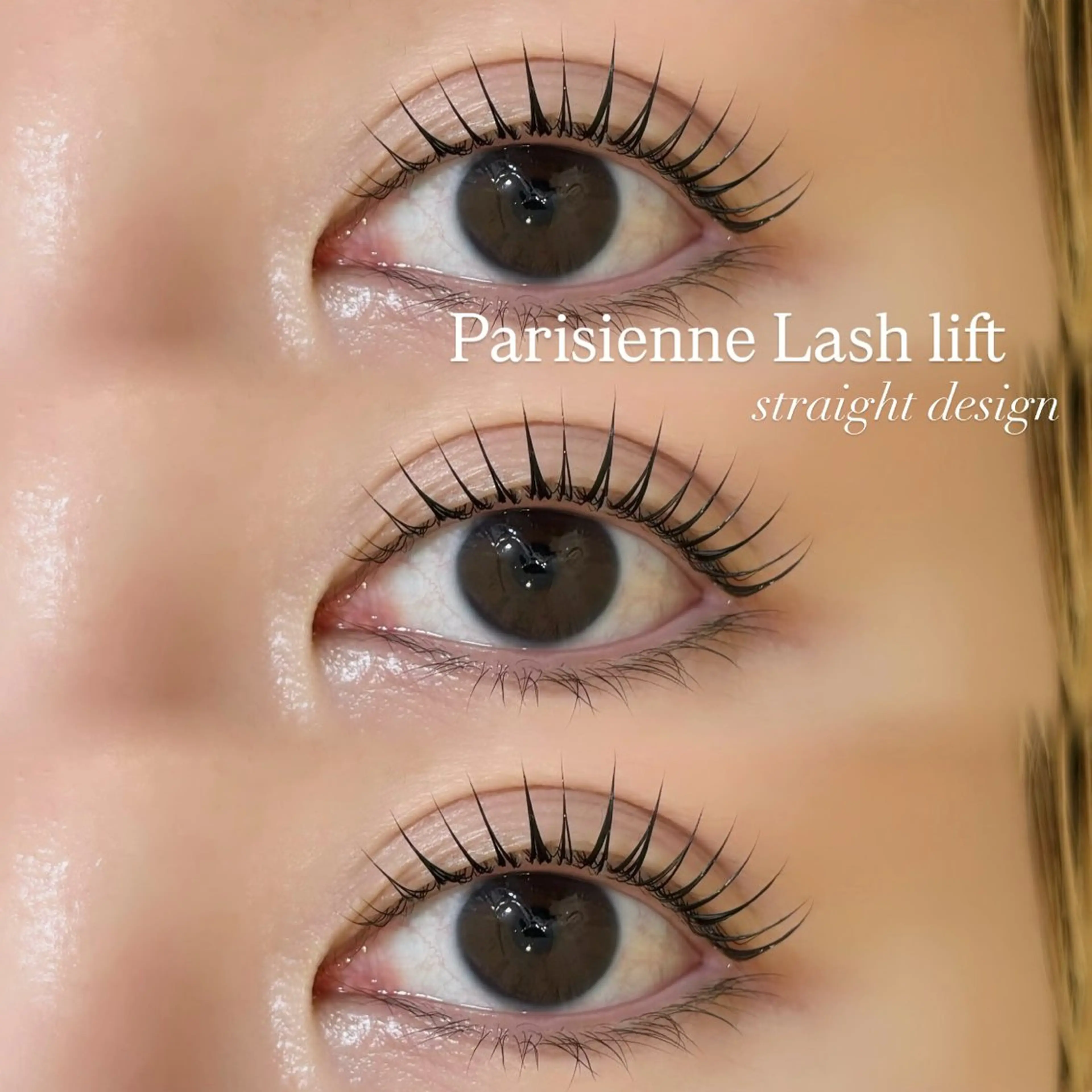 マツエク・マツパ マツパ 束感/LED/まつパ 🌼segawaのマツエク・マツパデザイン