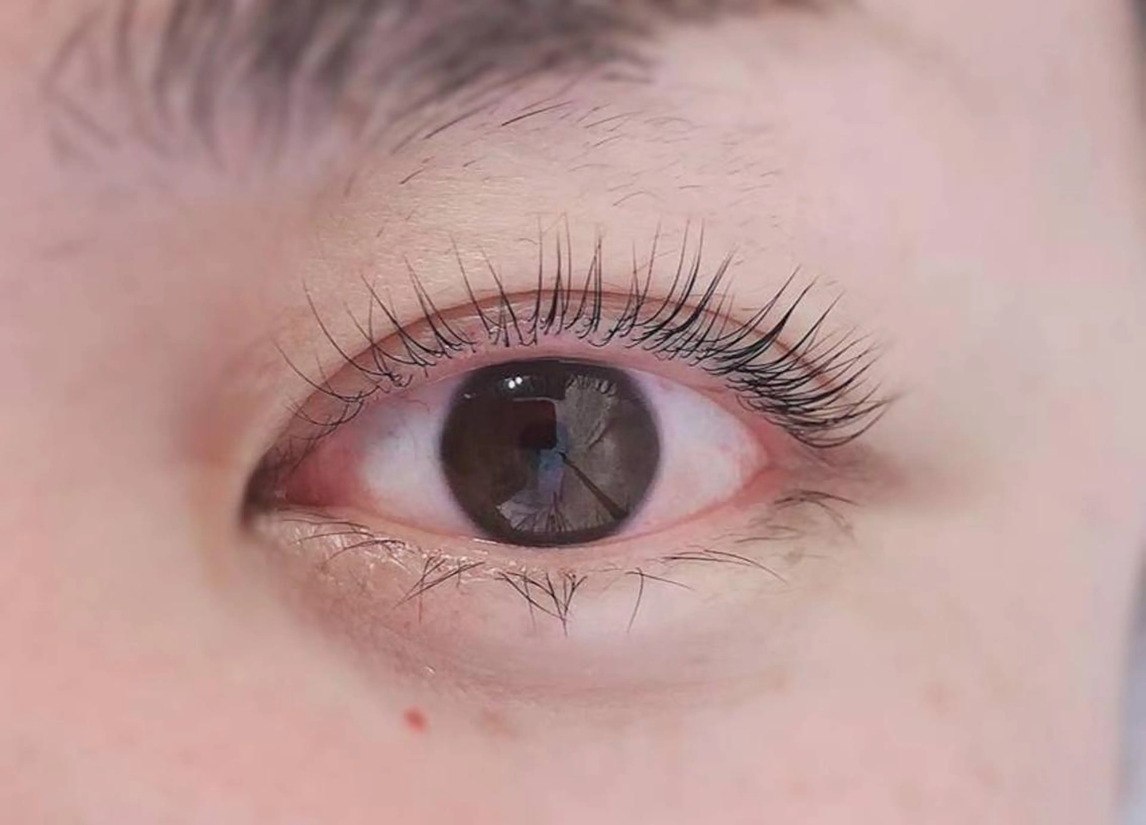 マツエク・マツパ Lampiilo 　eye&browのマツエク・マツパデザイン