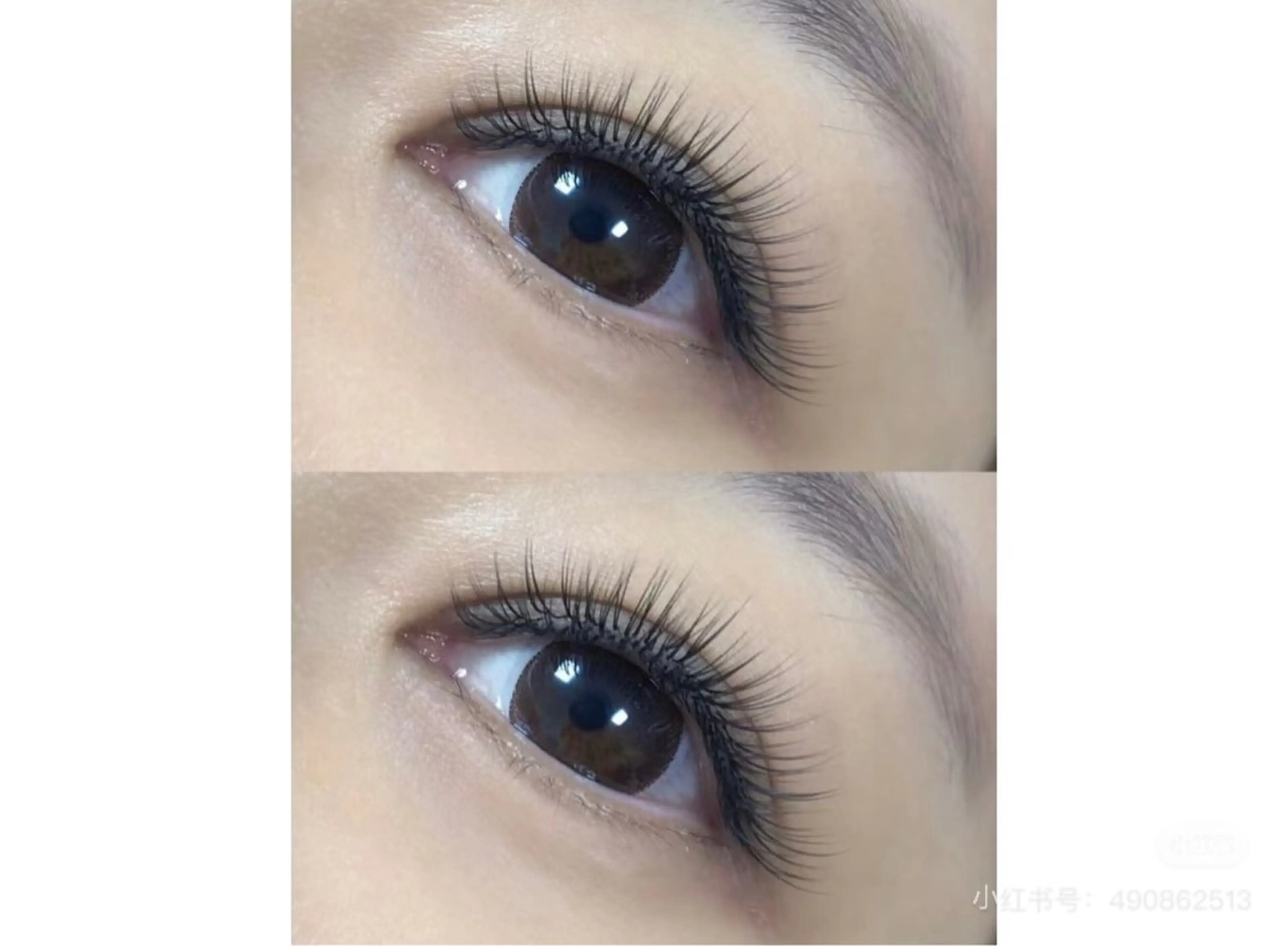 「LED無料」アイパック+スピード/超軽量/ 高持続フラットラッシュ100本の写真