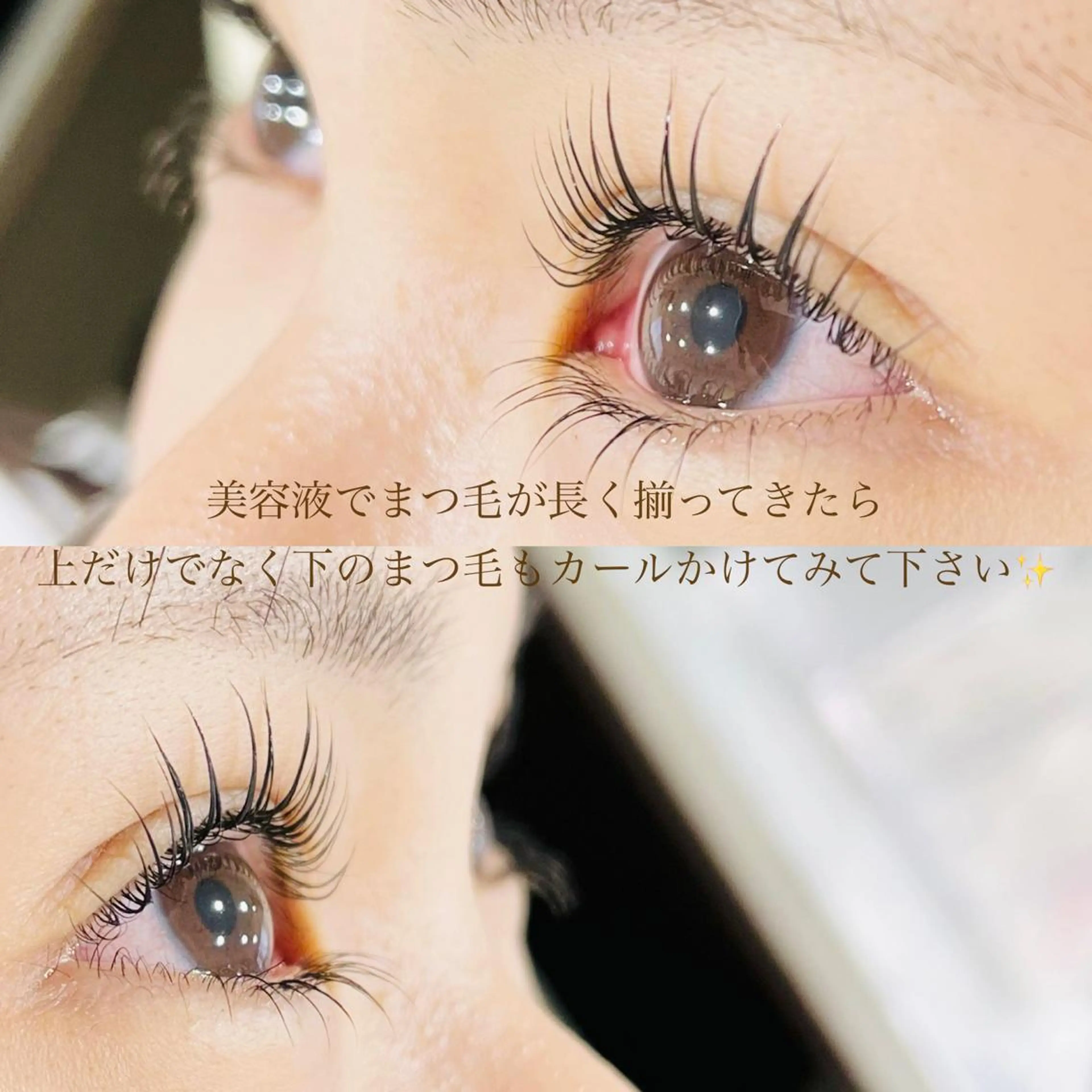 《ミニモ限定》ラッシュリフト（上下）👁️の写真