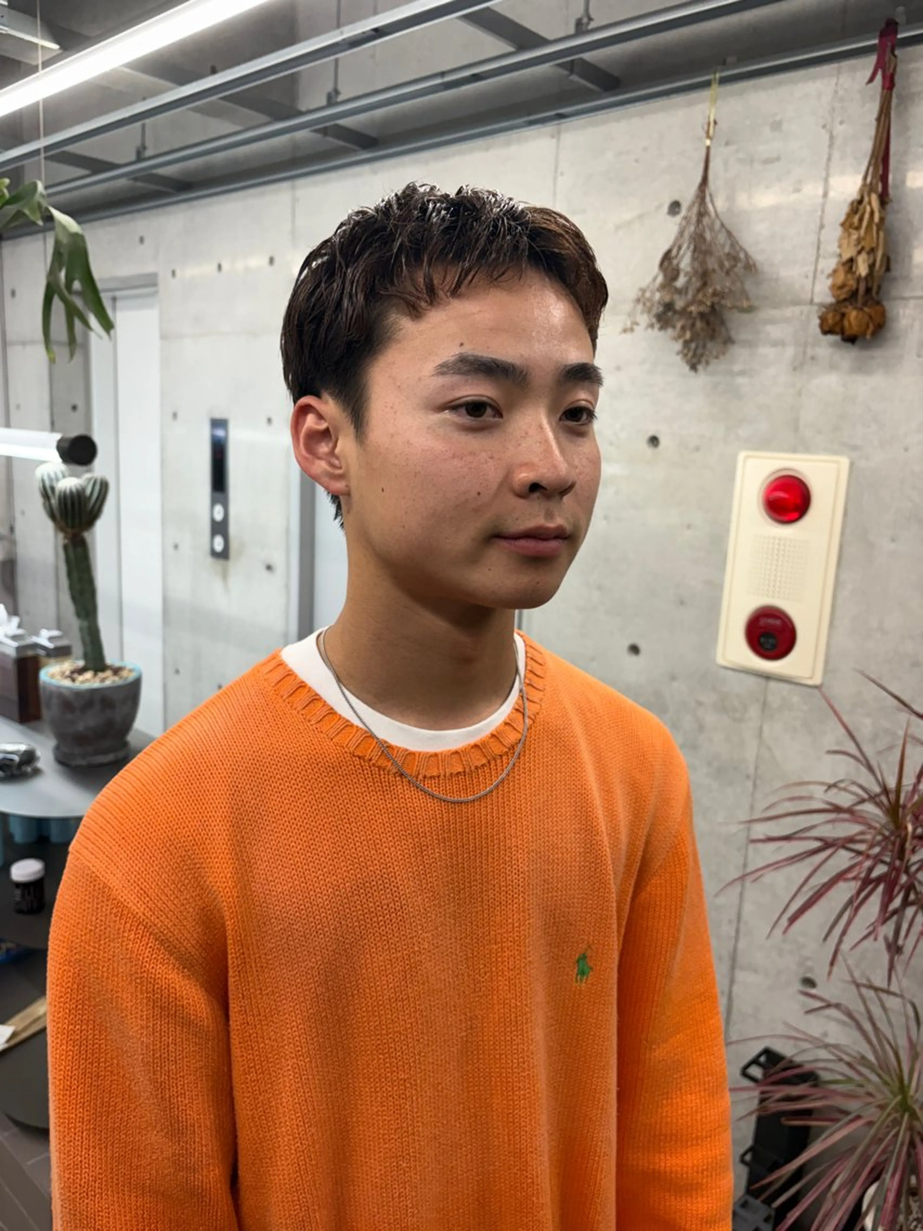 ショート フジイ トワのヘアスタイル