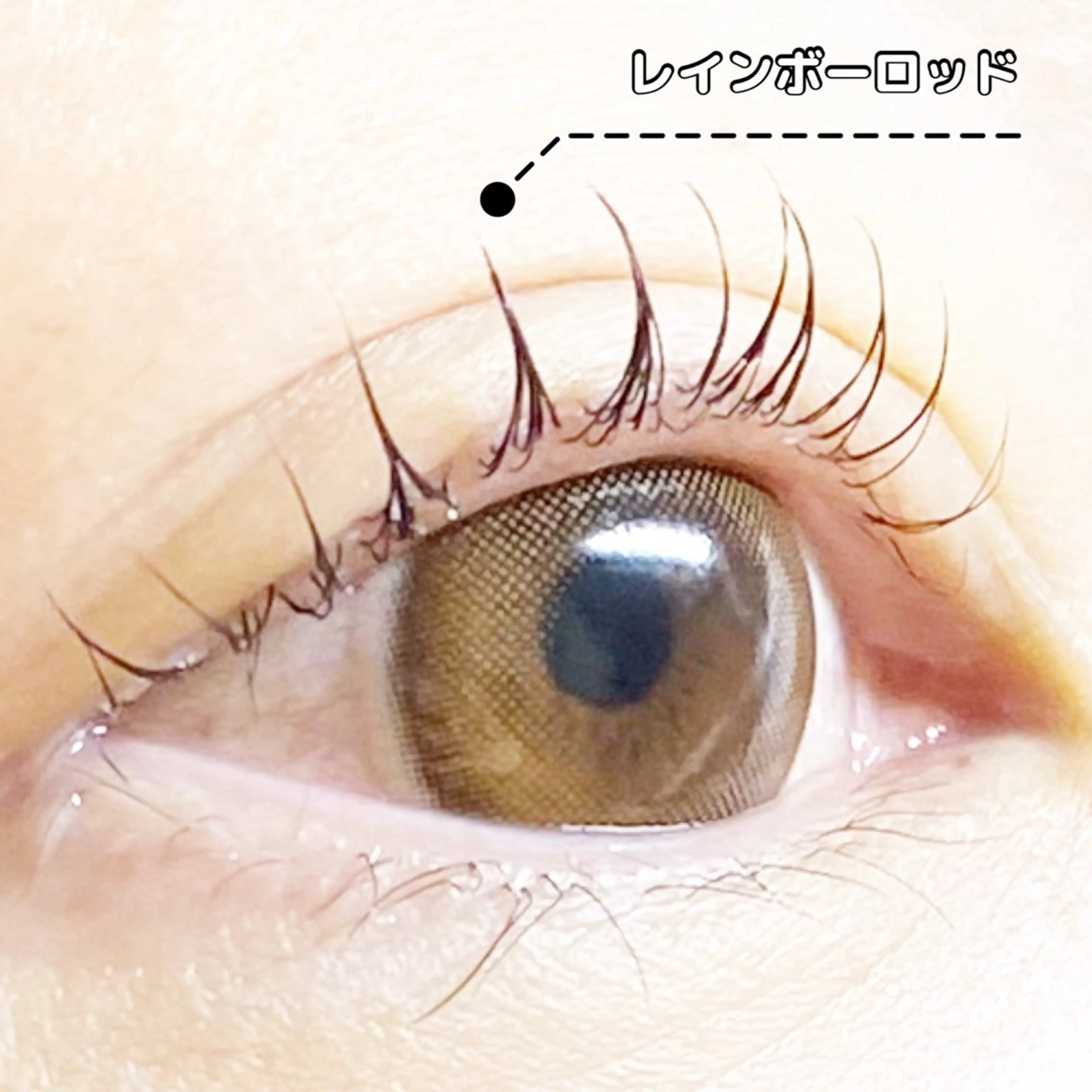 マツエク・マツパ LC尾張旭店🫧 いしいのマツエク・マツパデザイン