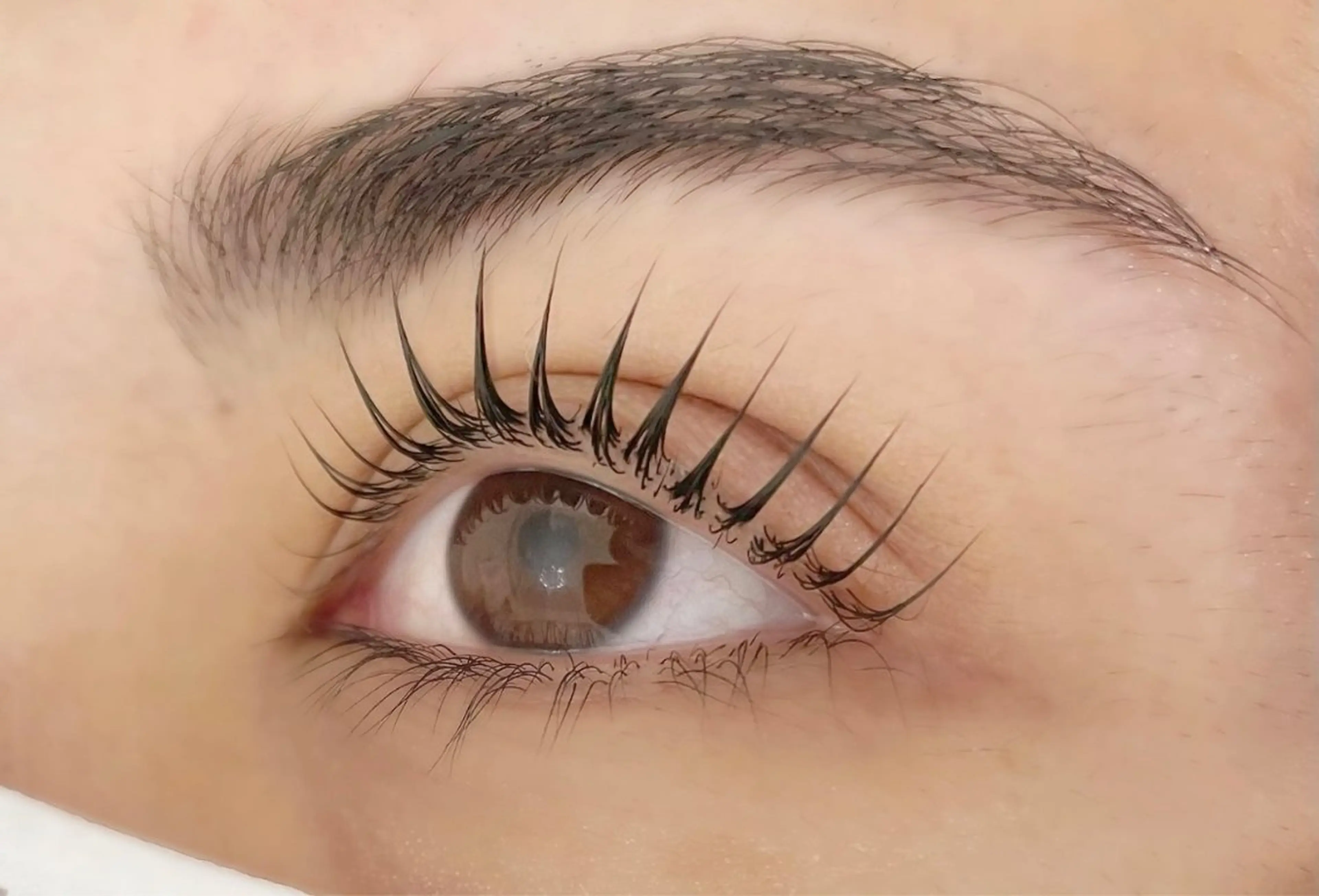 【リピーター様】ダメージレスラッシュリフト(上)🌿[ アイシャンプー/トリートメント付き ]の写真