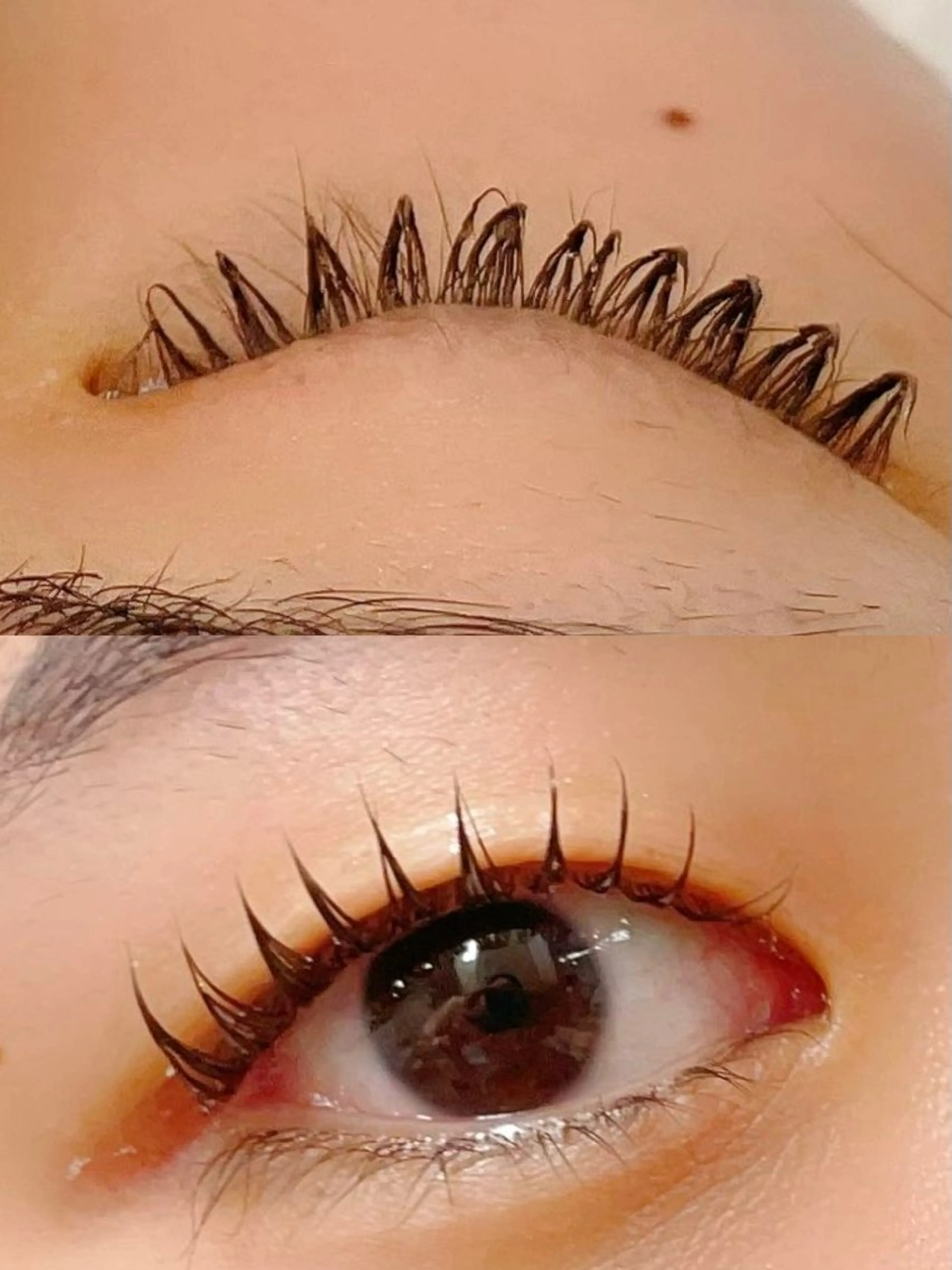 パーマ ペペEye Beauty新宿のマツエク・マツパデザイン