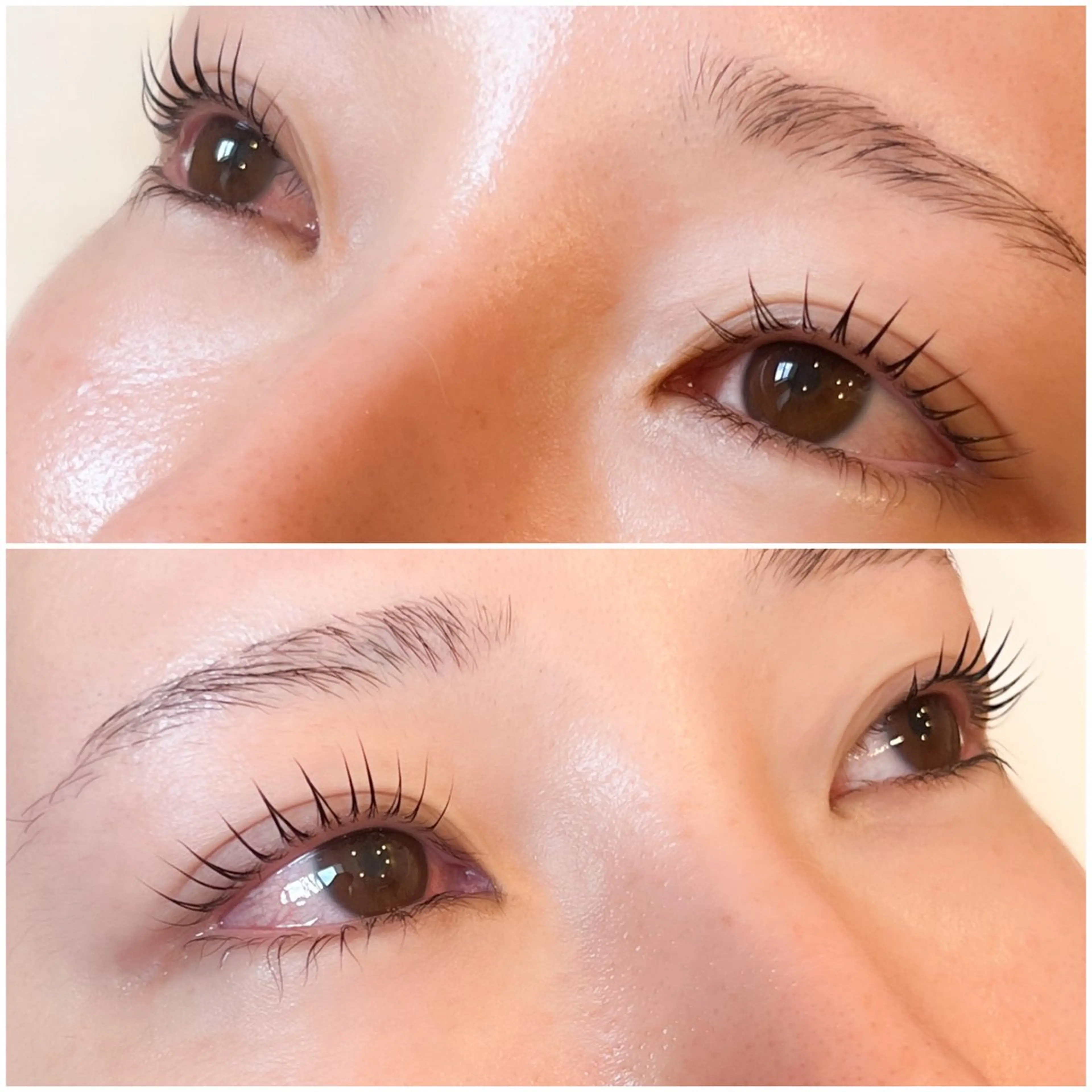 【新規】🌈ラッシュリフト＋アイシャンプー🫧＋コーティング仕上げの写真