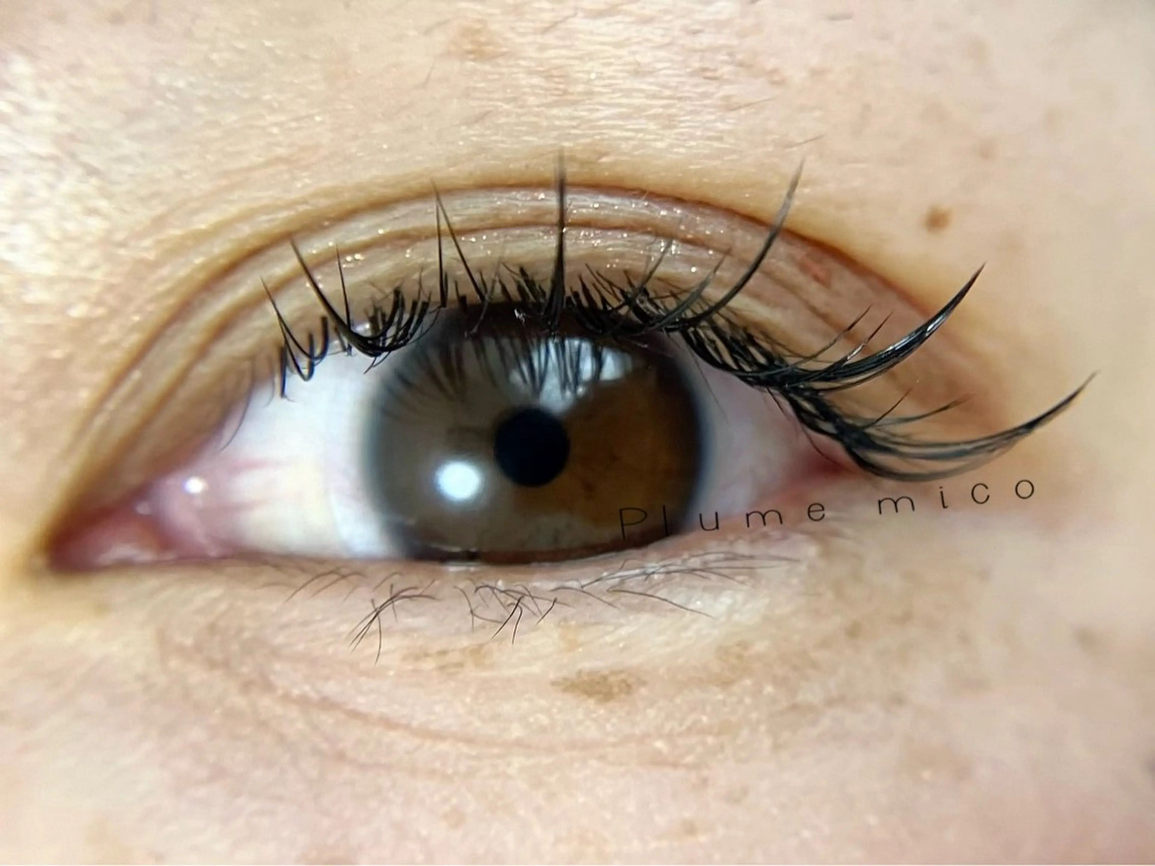 マツエク・マツパ ワンホンマツエク マツエク Plume micoのマツエク・マツパデザイン