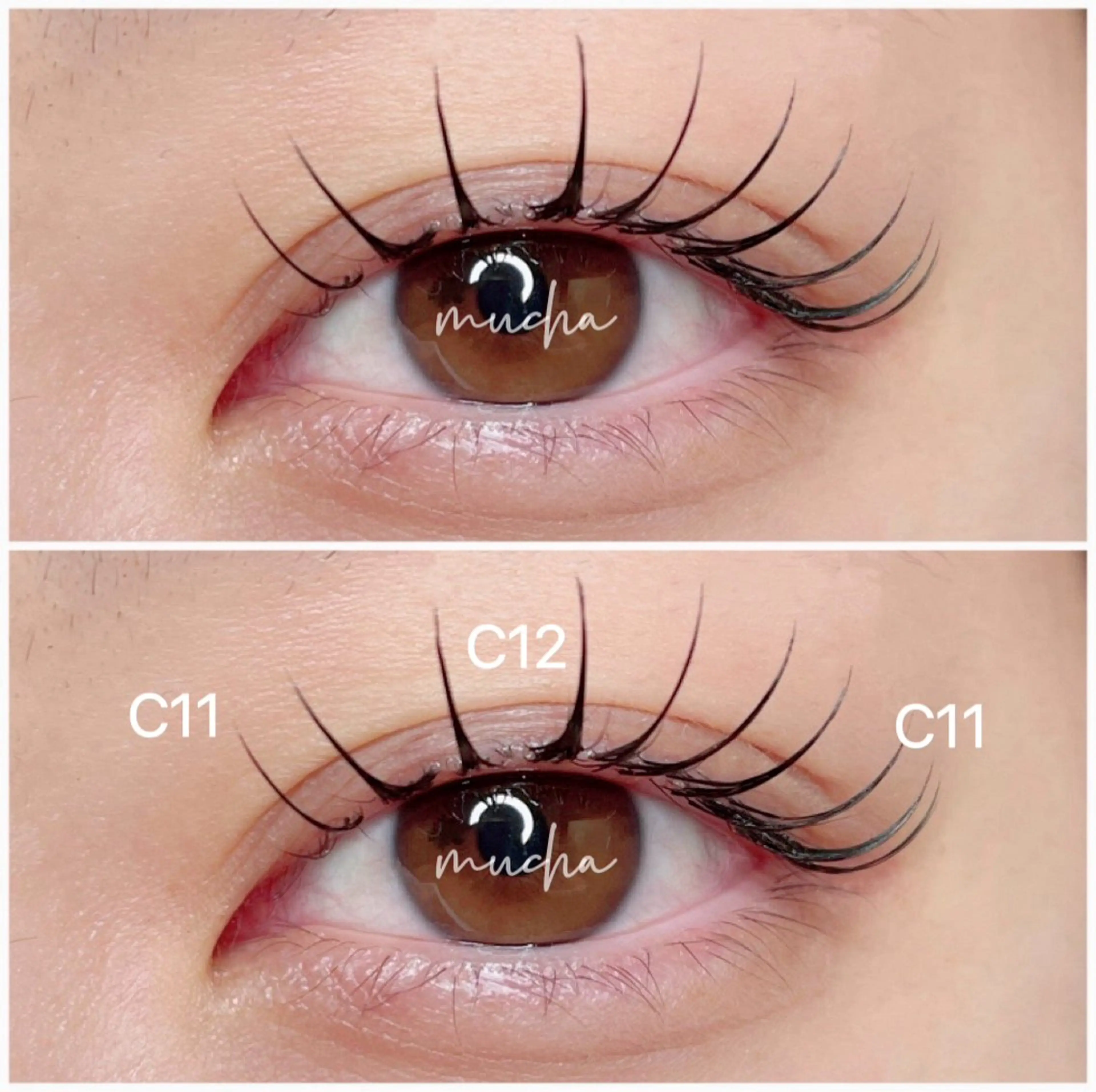 マツエク・マツパ Cカール フラットラッシュ マツエク eyelash muchaのマツエク・マツパデザイン