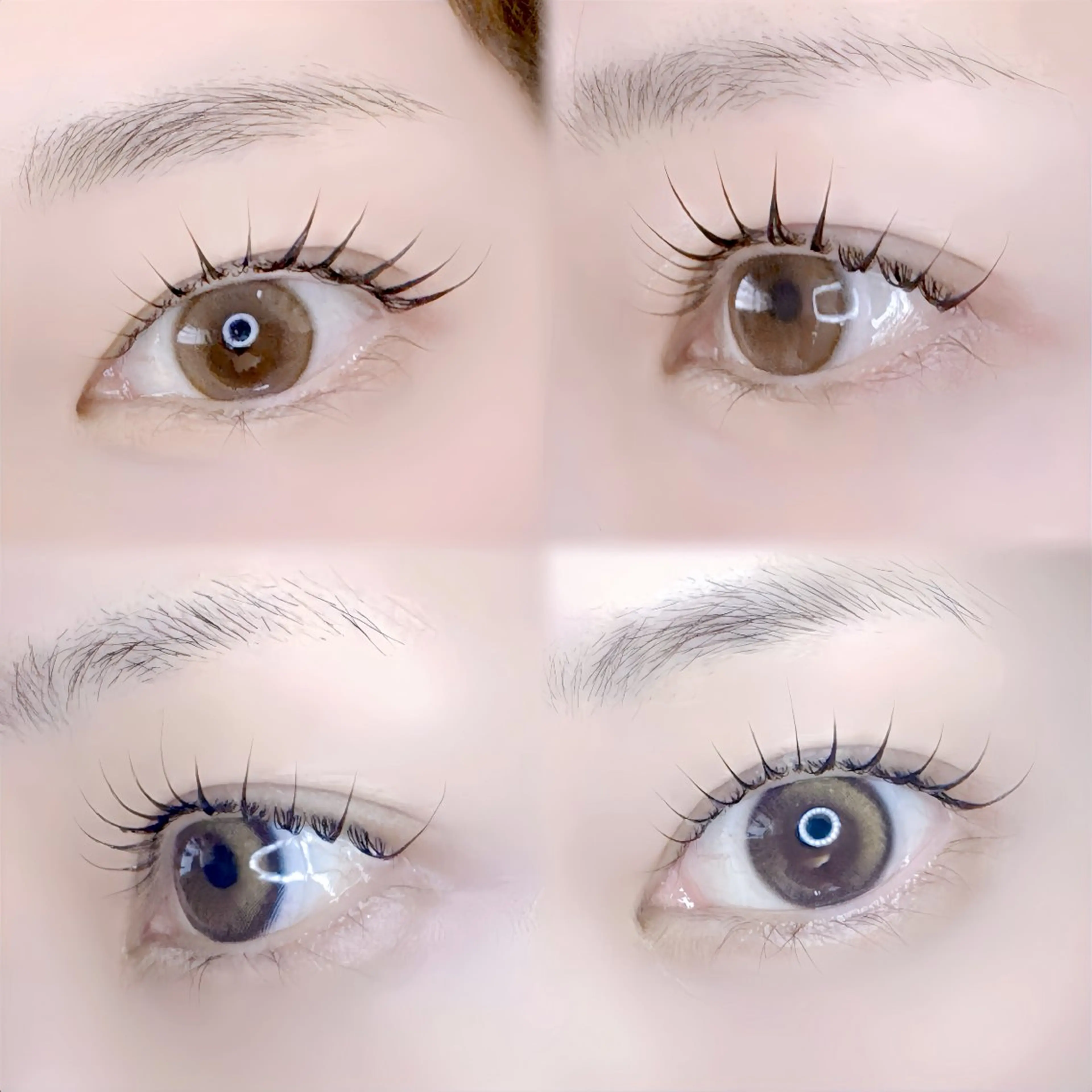 ケラチンラッシュリフト(アイシャンプー/トリートメント付☆)の写真