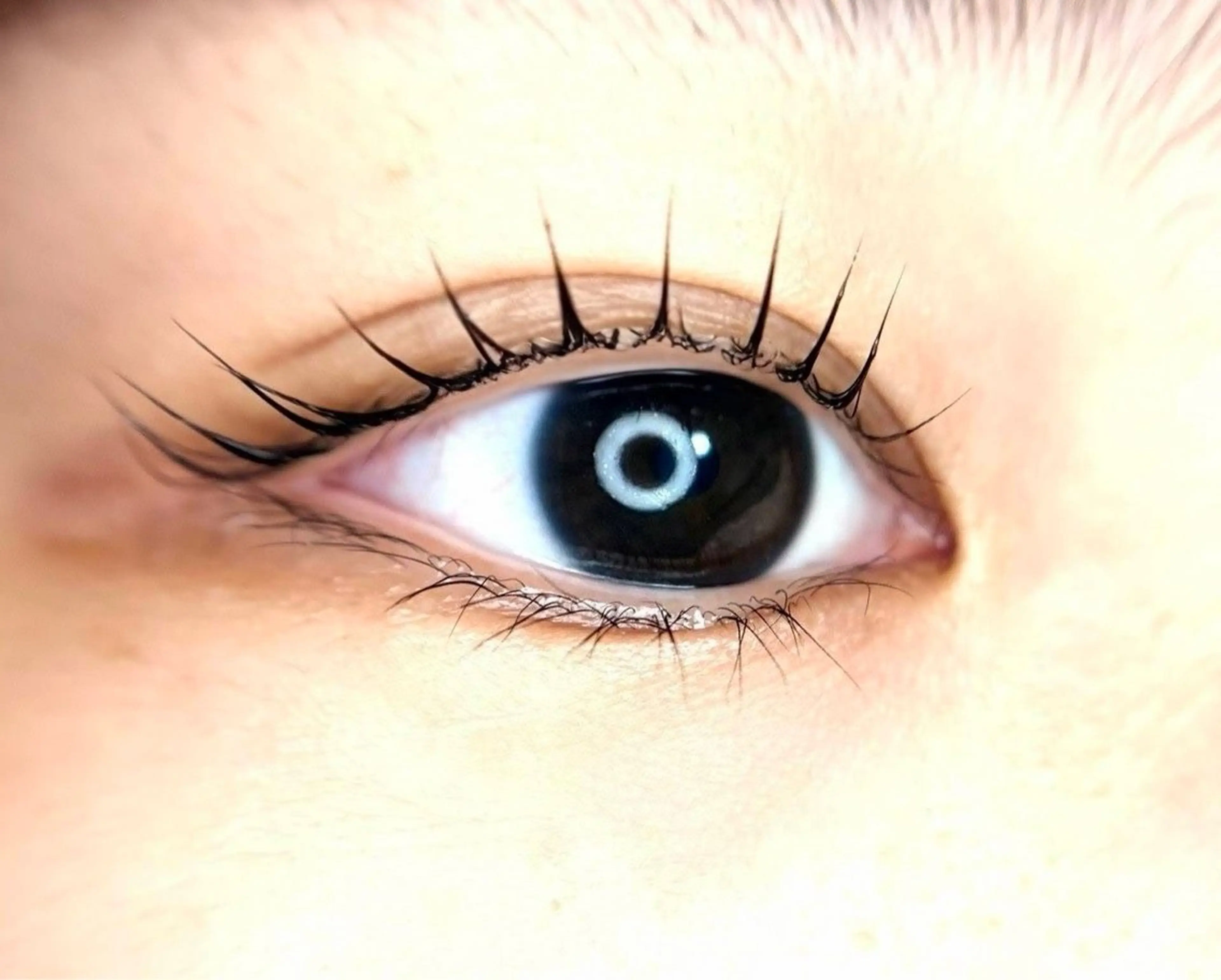 マツエク・マツパ 一重×まつ毛パーマ Lash Lift WAVE🩵の眉毛・アイブロウイメージ