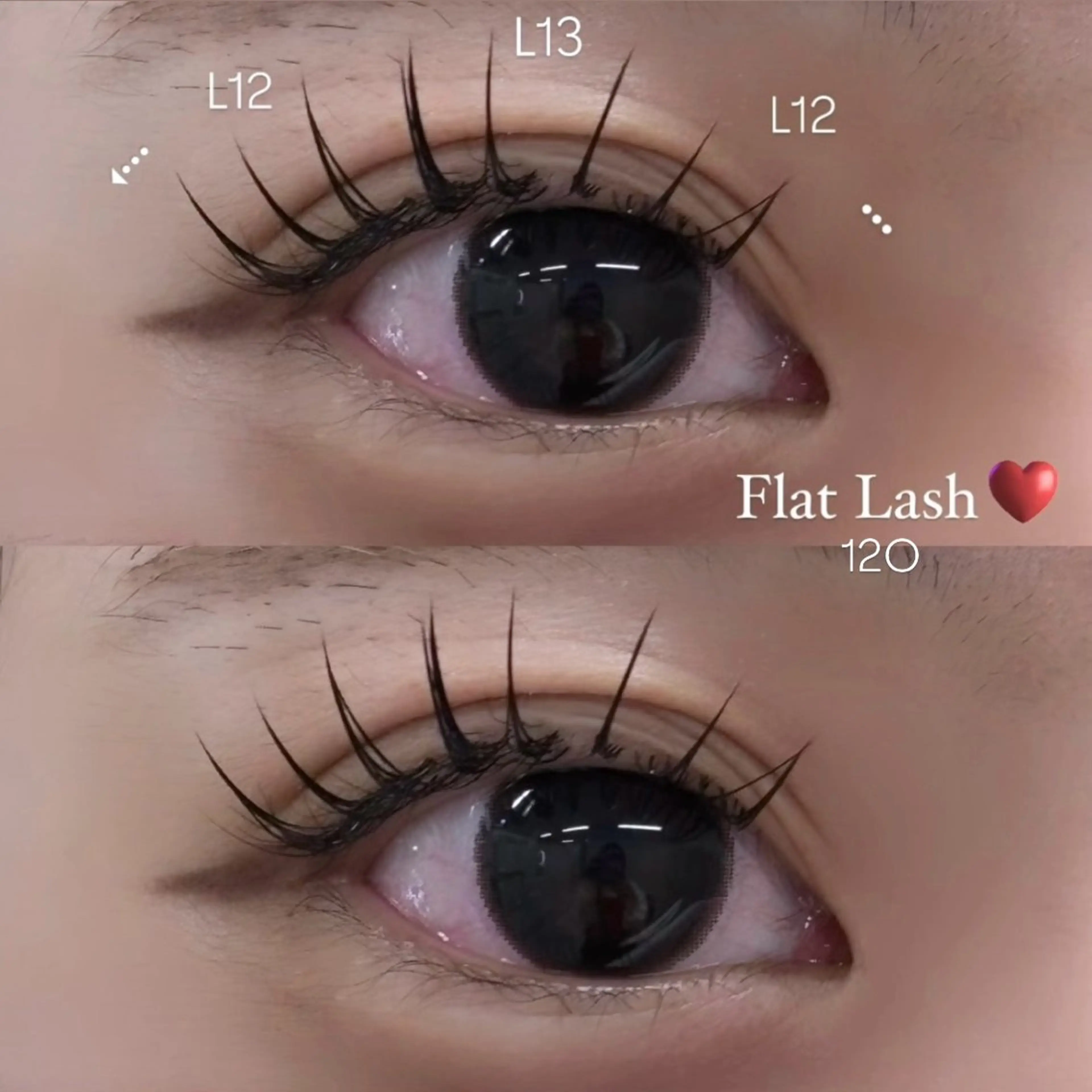 マツエク・マツパ キュート フラットラッシュ Lカール REAL 🎀 ayakaのマツエク・マツパデザイン