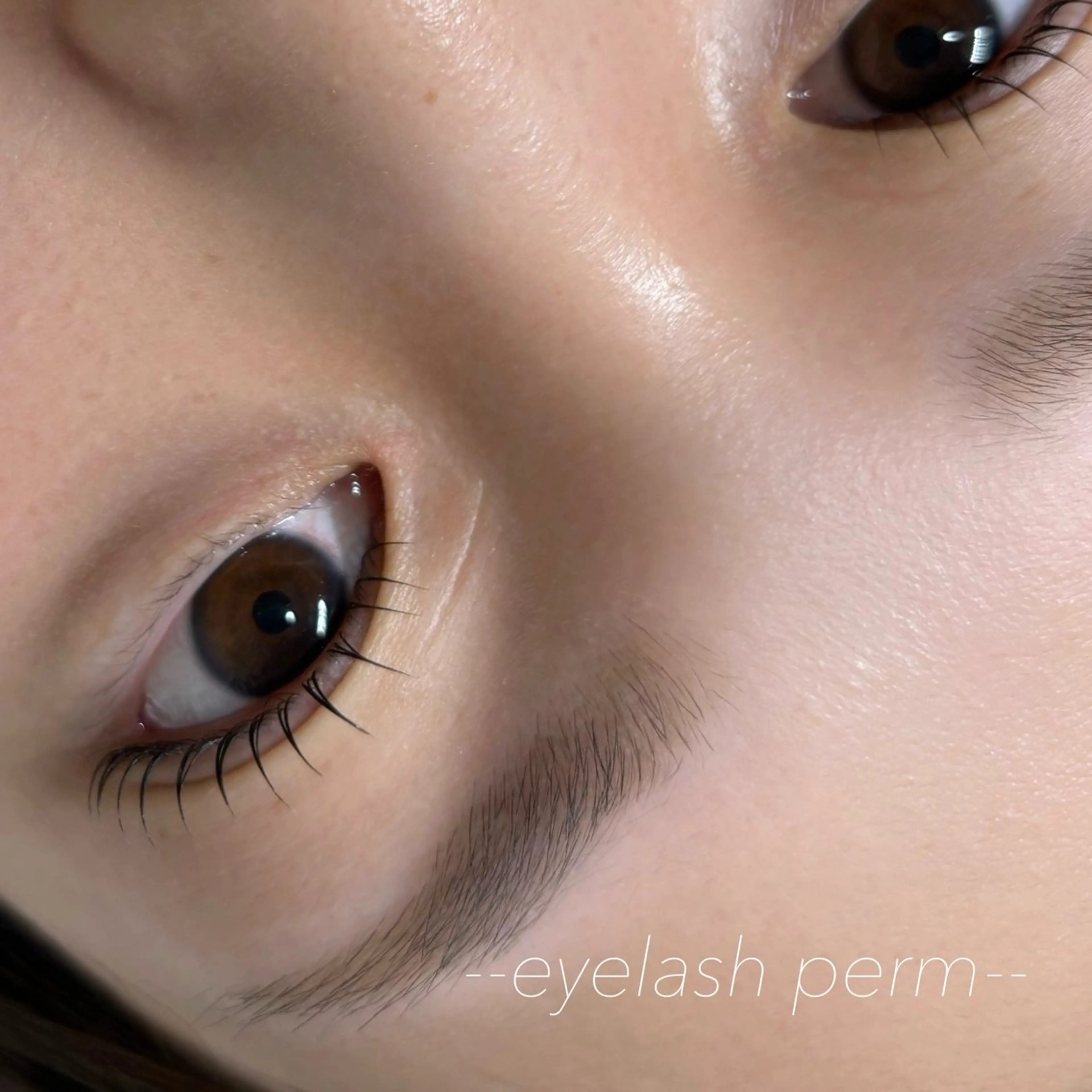 【学割U24】🎀大人気 束感コスメラッシュリフト🎀の写真