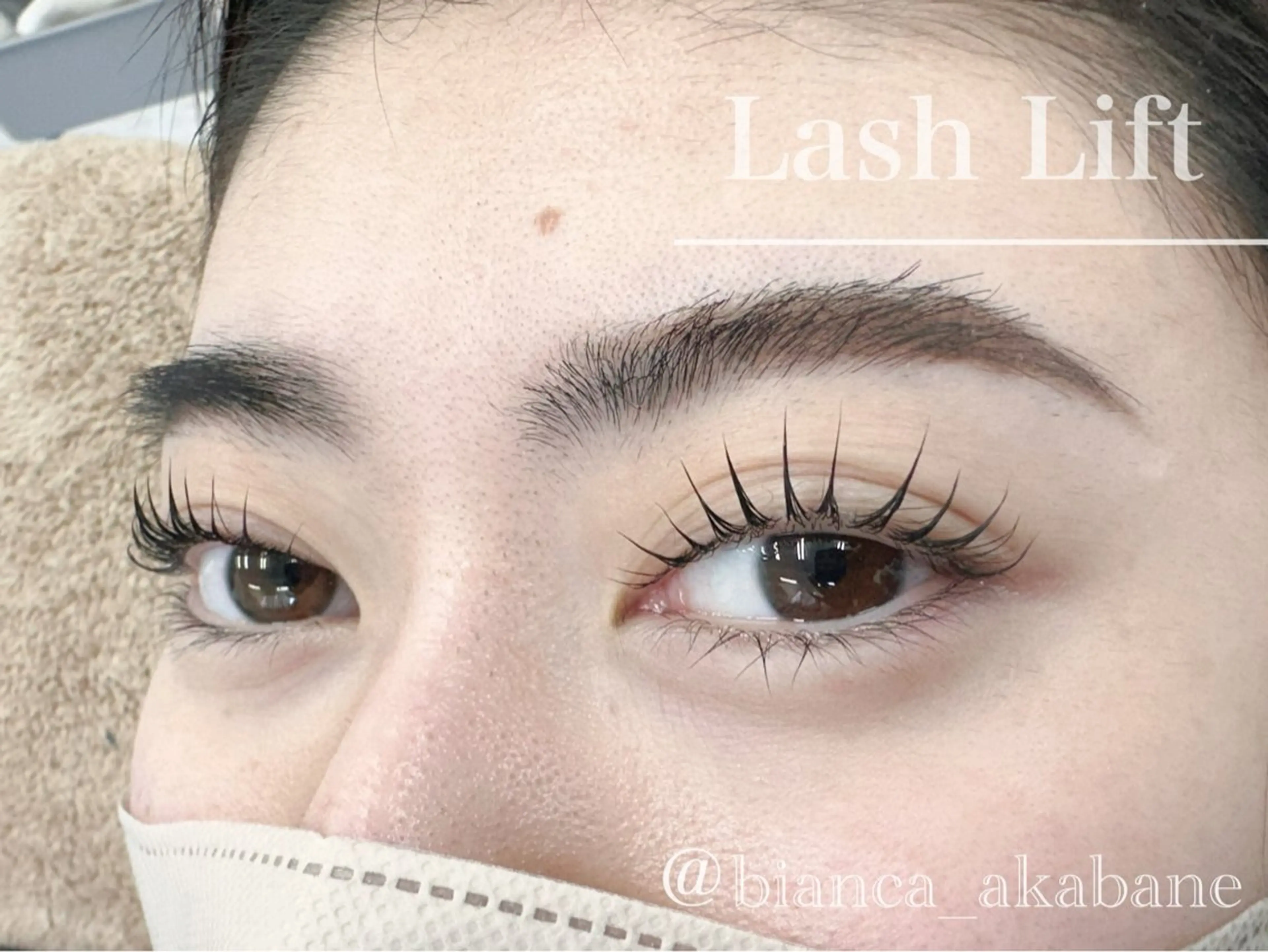 🌸3月4月限定🌸まつげパーマ上のみ¥5100🌟上下¥6100の写真