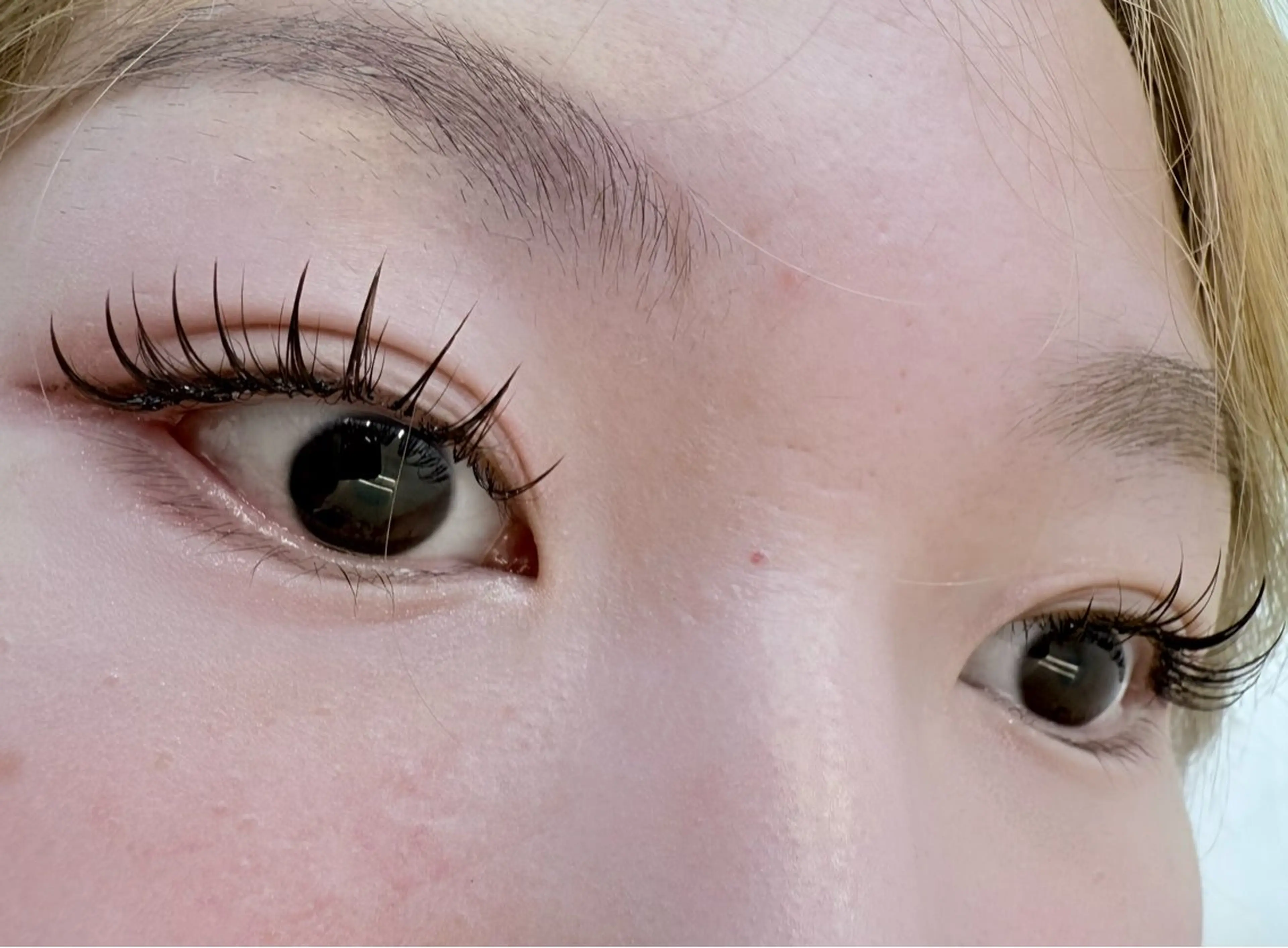 マツエク・マツパ 束感まつ毛 フラットラッシュ stunner eyelashのマツエク・マツパデザイン