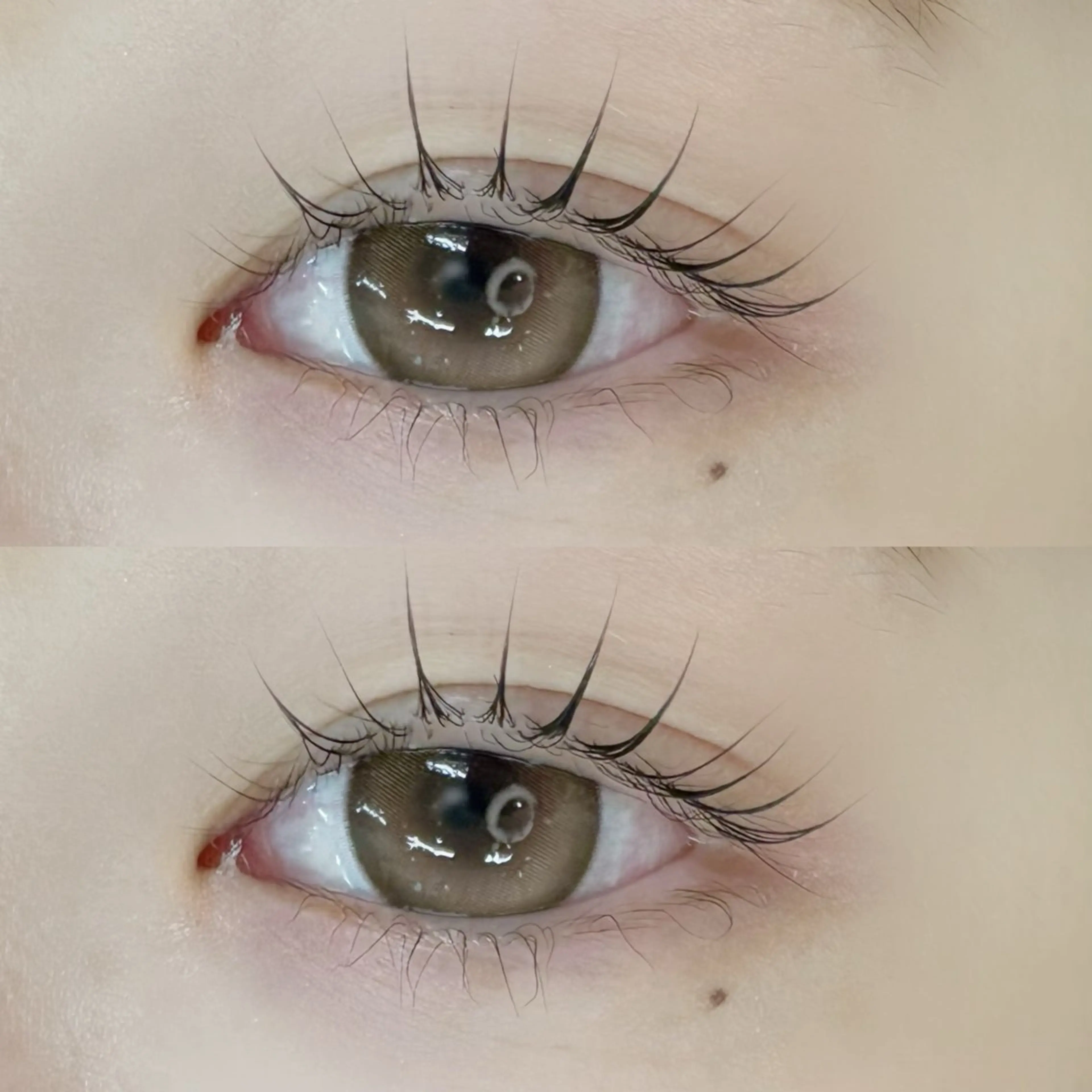 マツエク・マツパ Bianca 長津田 YUKI🍀.⋆のマツエク・マツパデザイン