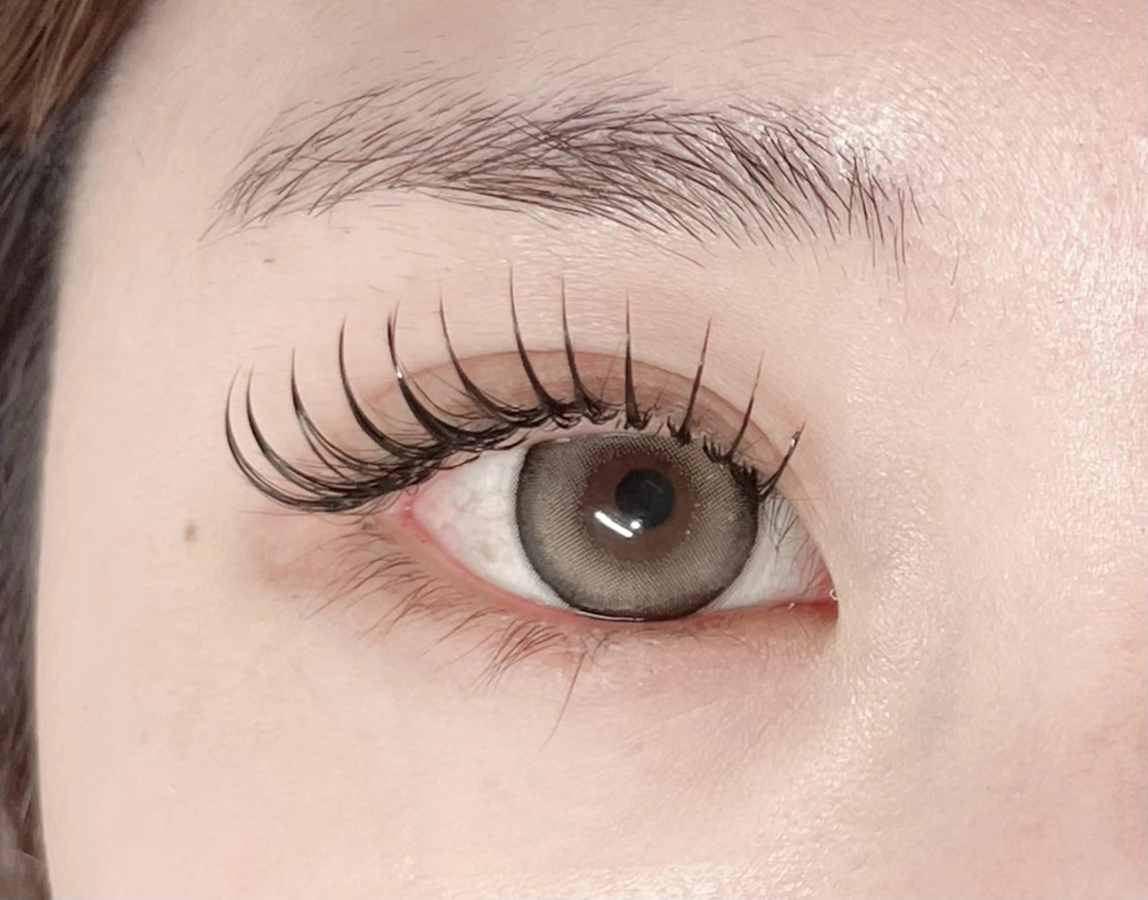 🌷パリエク・ダブルフラット80束まで(160本)✨の写真