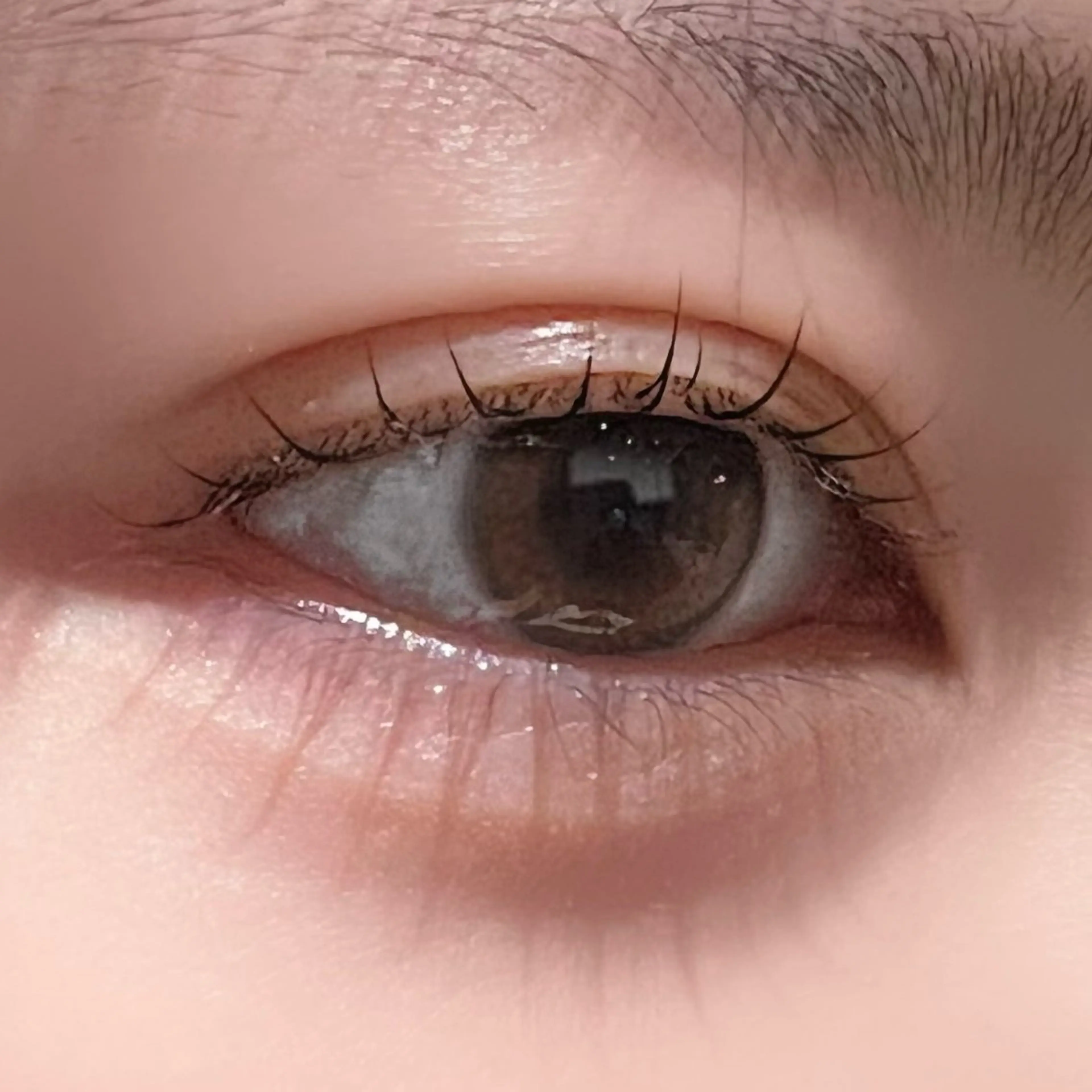 マツエク・マツパ 垢抜け眉WAX専門 ちゅるんまつげ|鎌倉の眉毛・アイブロウイメージ