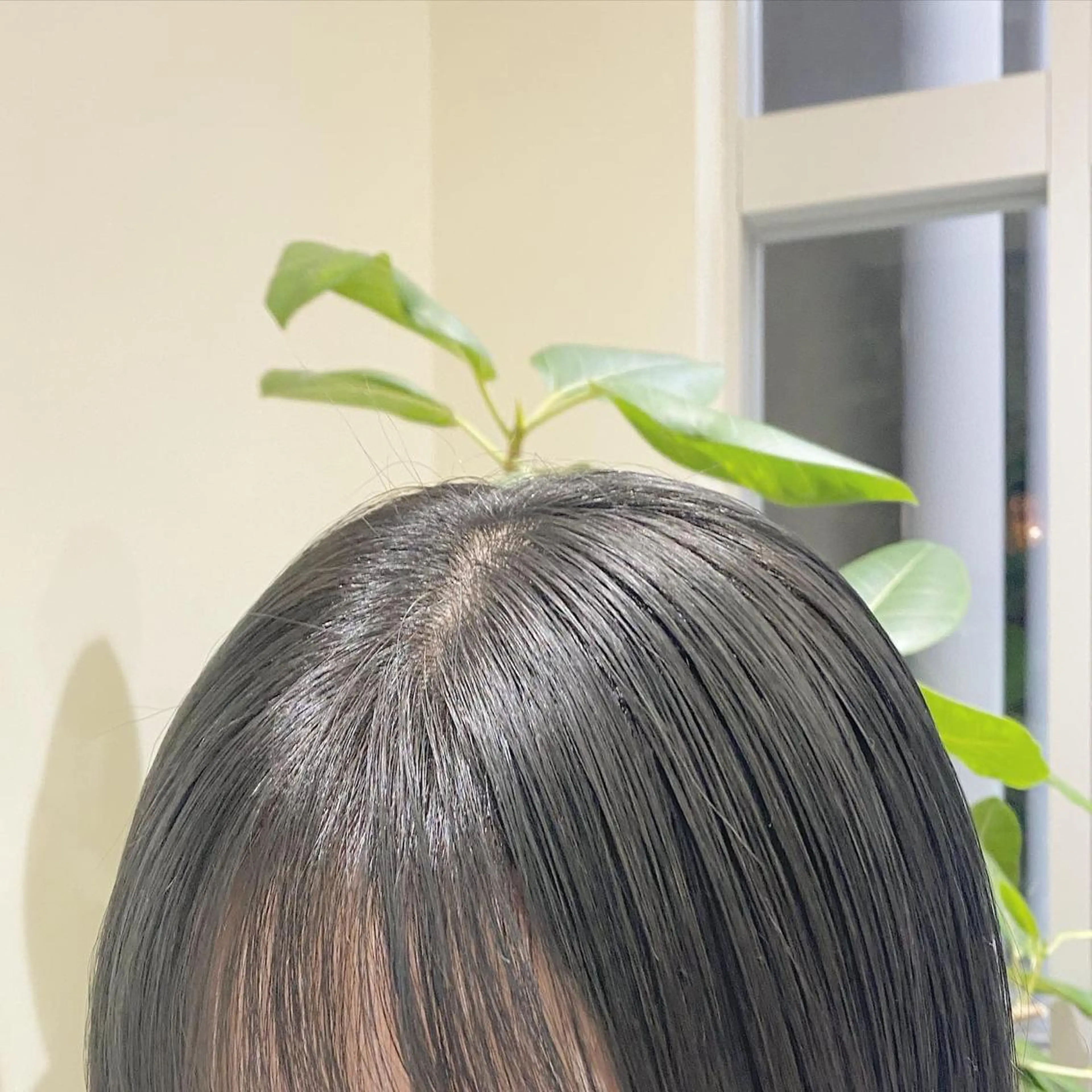 ショート カラー パーマ ヘアアレンジ メンズ キッズ ネイル マツエク・マツパ モリモト サナのヘアスタイル