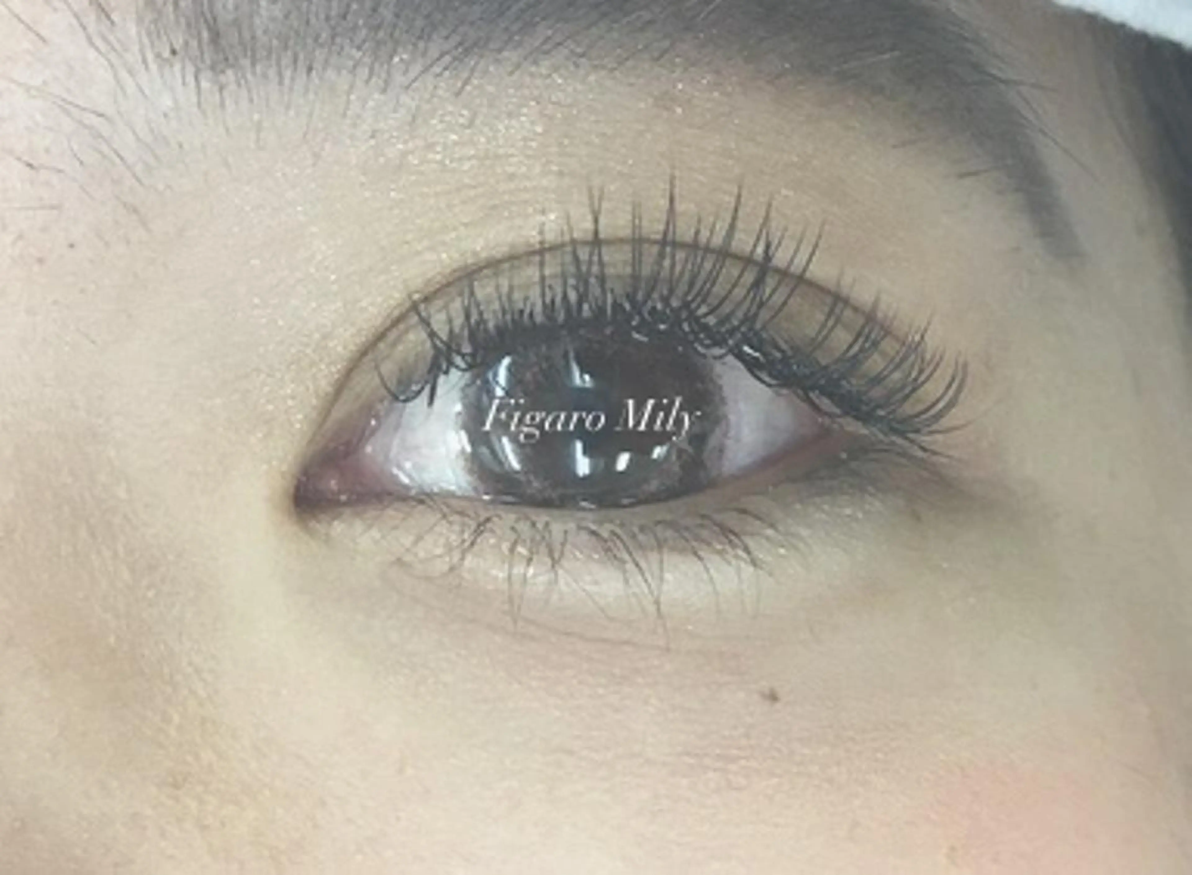 フラットマットラッシュ毛使用🕊上まつげ両目160本までの写真