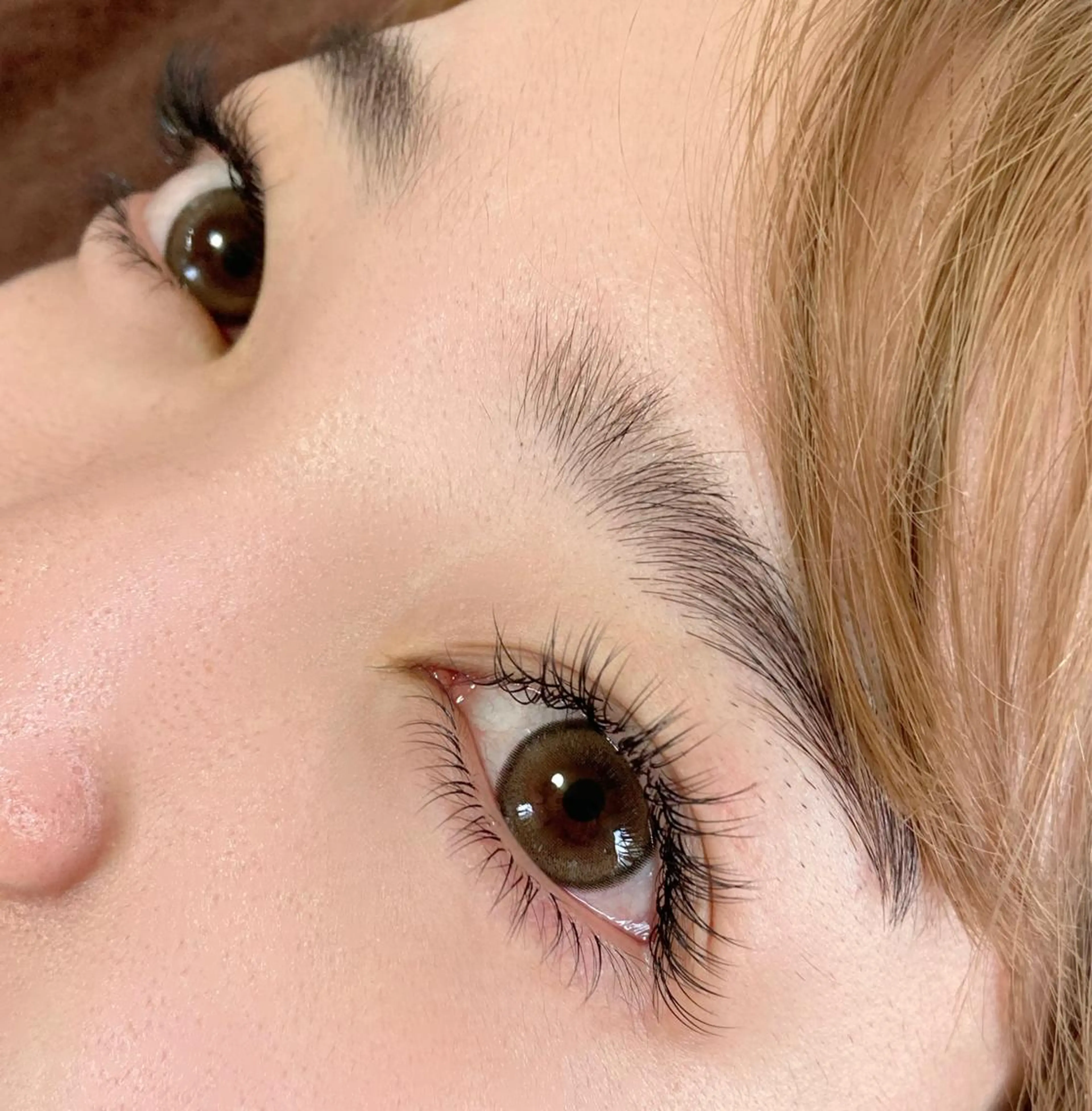 【付け方題】最高級ミンク〔本数無制限〕の写真