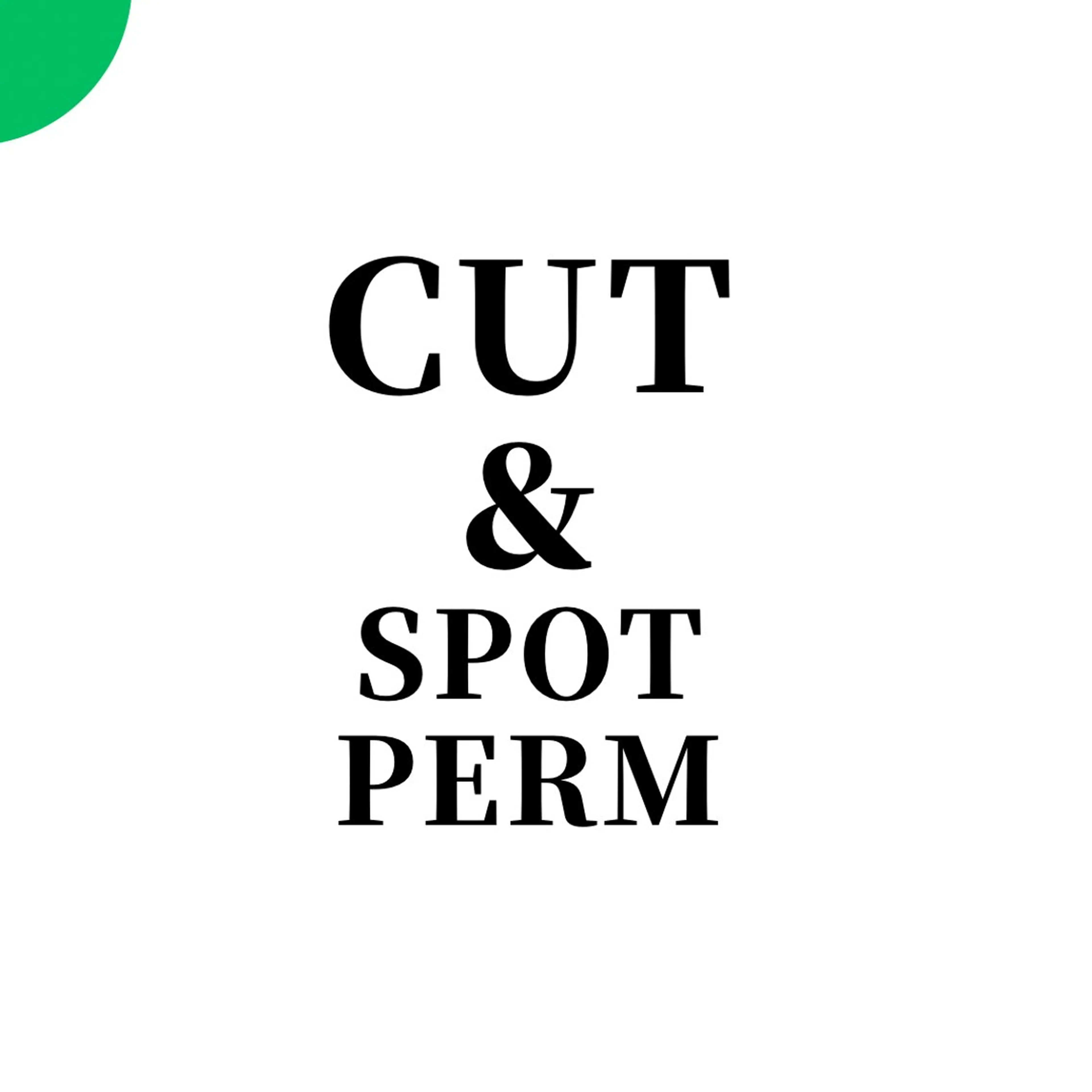 メンズ カット パーマ シャドウ/フェザー ニュアンスヘアメンズのヘアスタイル