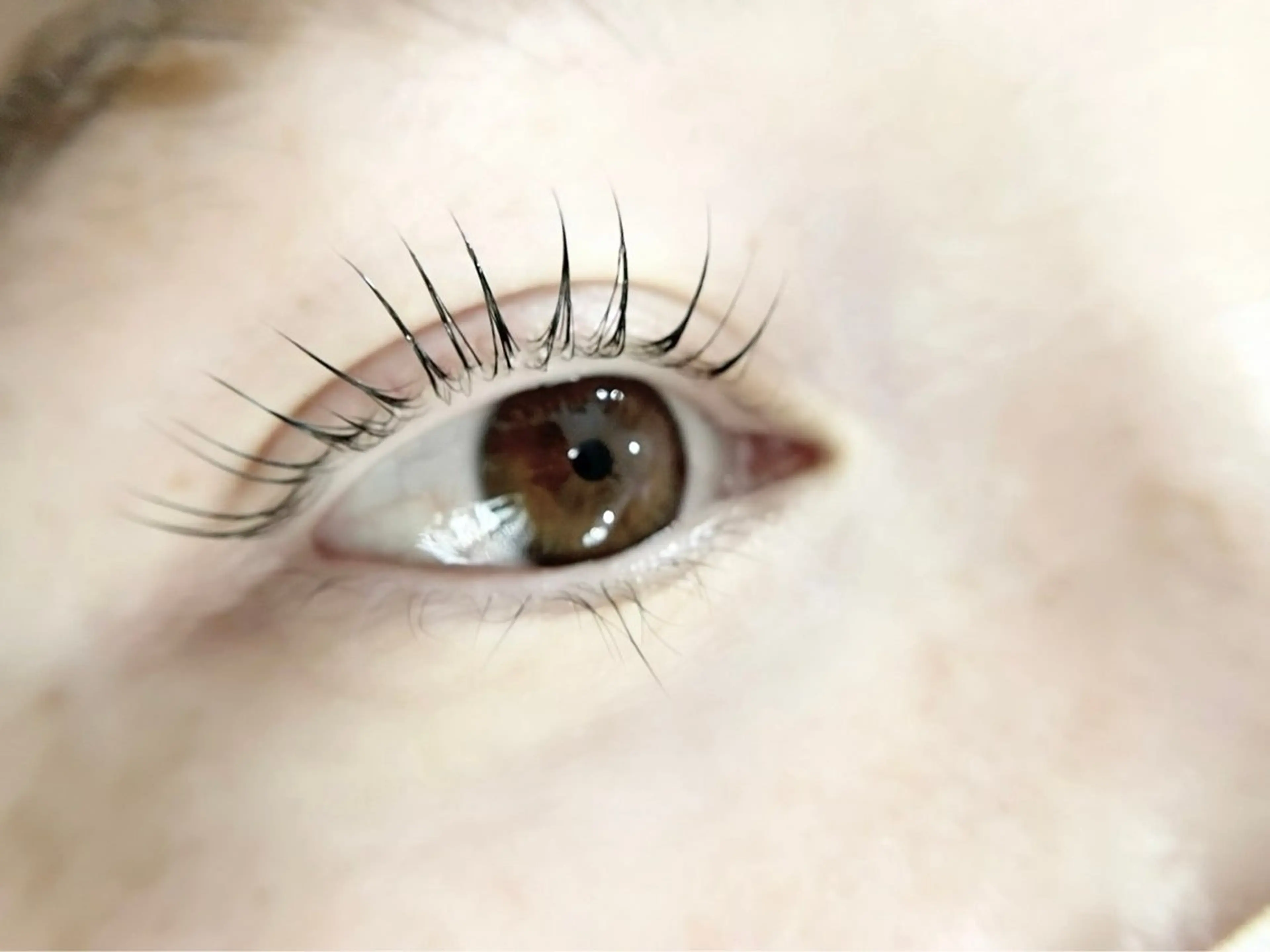 カールデザイン上まつ毛パーマ⭐︎デビュー後スタッフ施術の写真