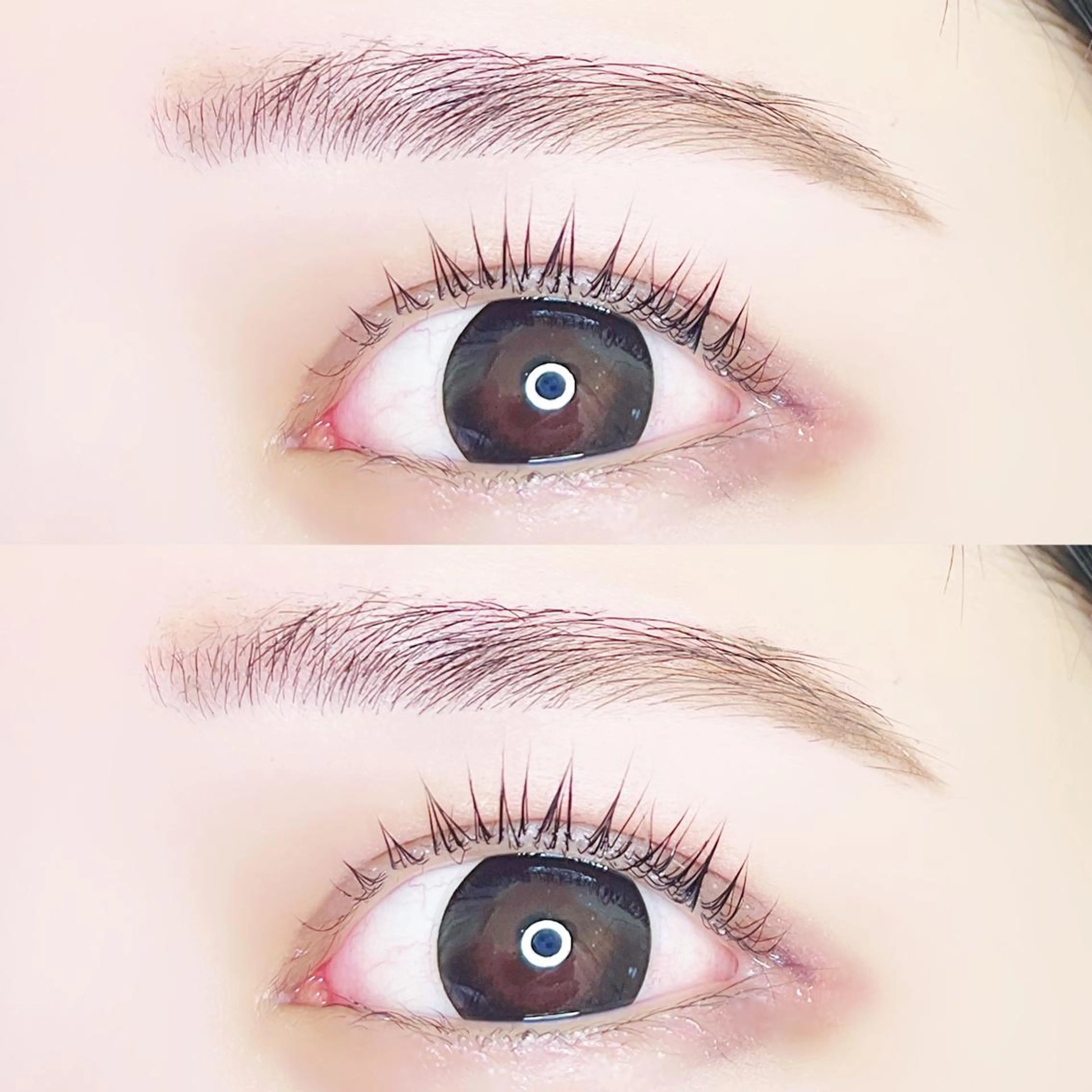 《次回予約限定❣️》パリジェンヌorラッシュリフト+アイブロウWAX🌟の写真