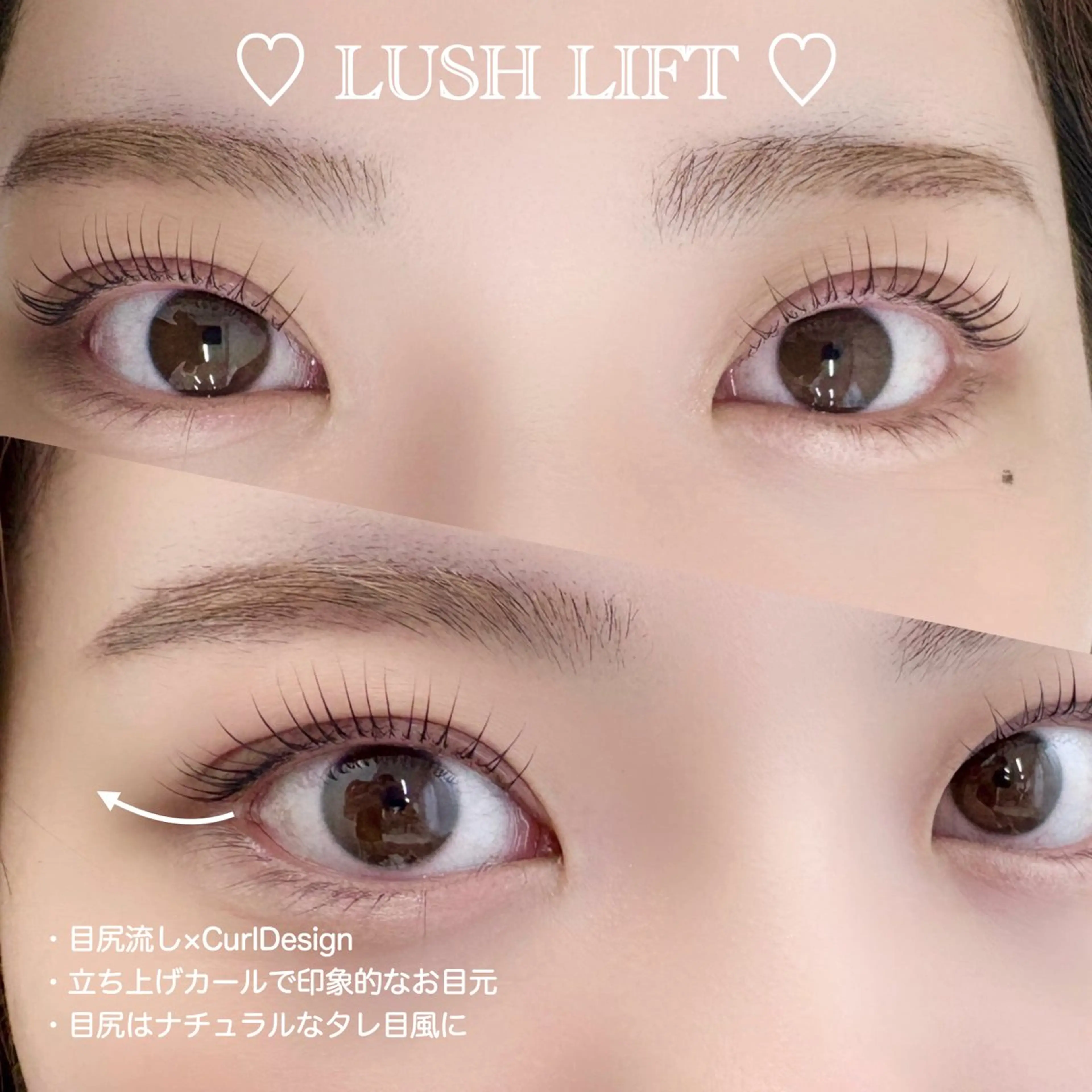 【平日限定.。.:*✨】まつ毛パーマ💎💫+コーティングの写真