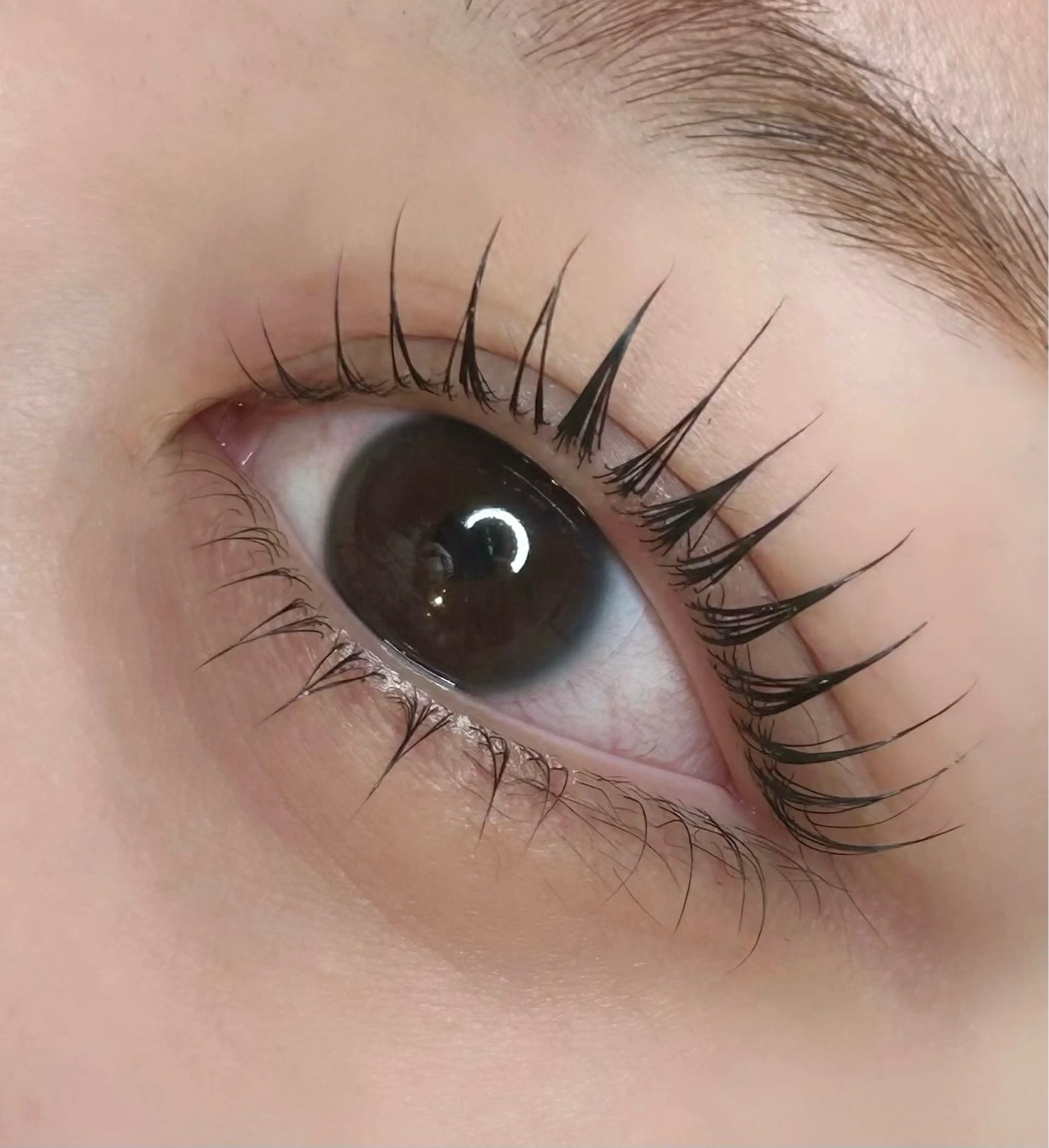 マツエク・マツパ マツパ fors/eye🤍 /らぎのマツエク・マツパデザイン