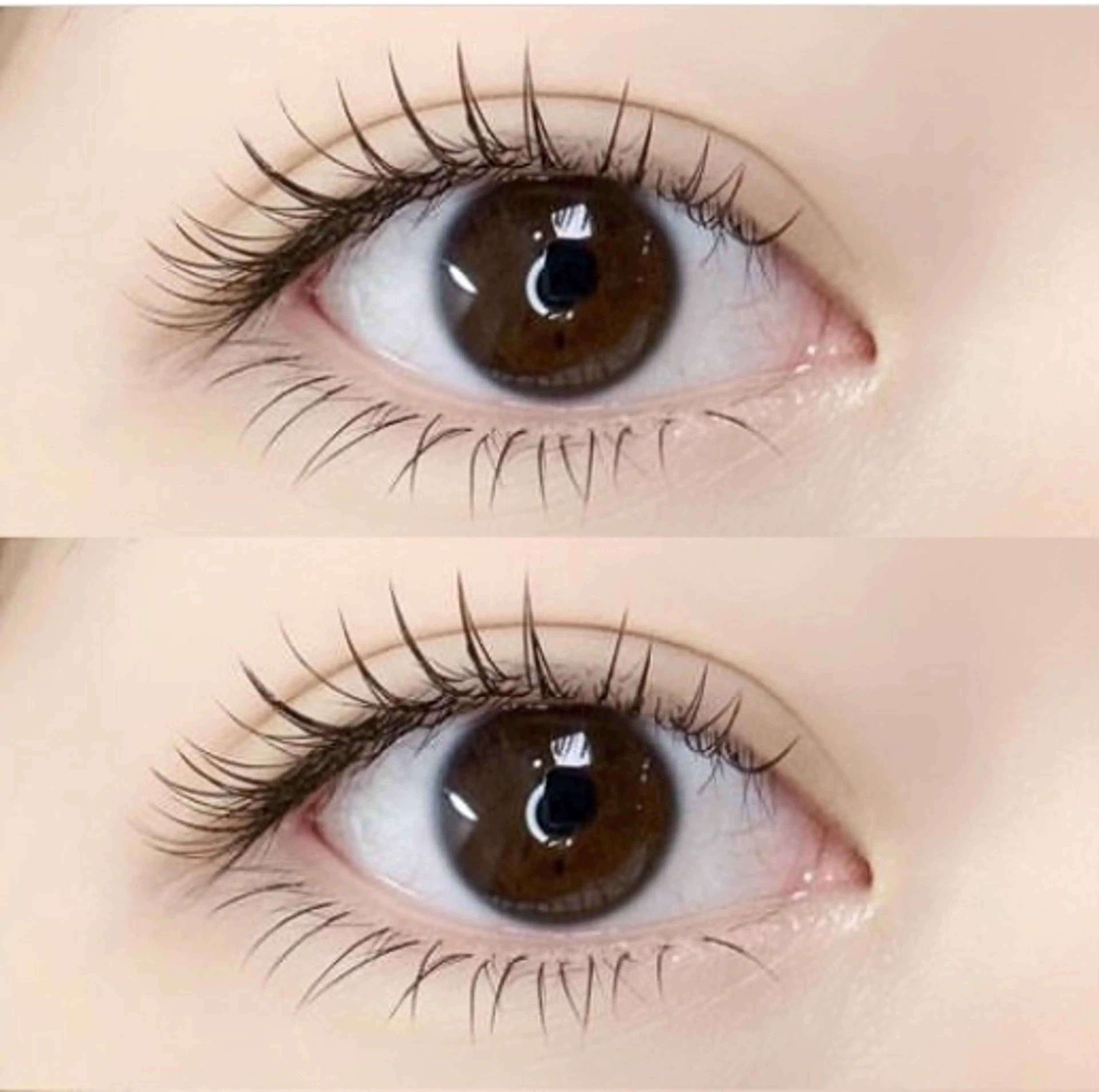 お試し♪【人気NO.1】最軽量フラットラッシュ上120本(アイパック/コーティング剤/オフ付き)の写真