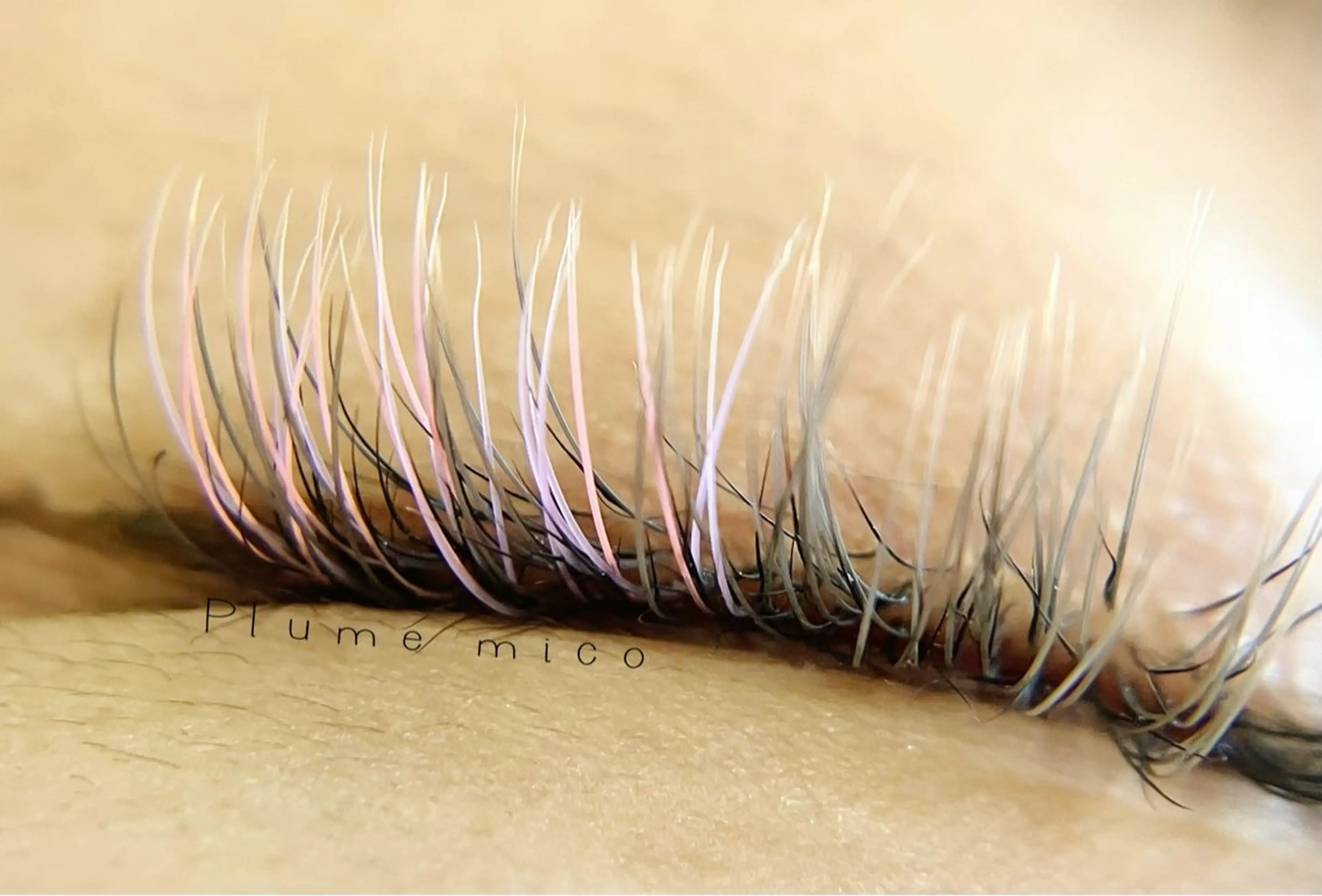 マツエク・マツパ マツエク Plume micoのマツエク・マツパデザイン