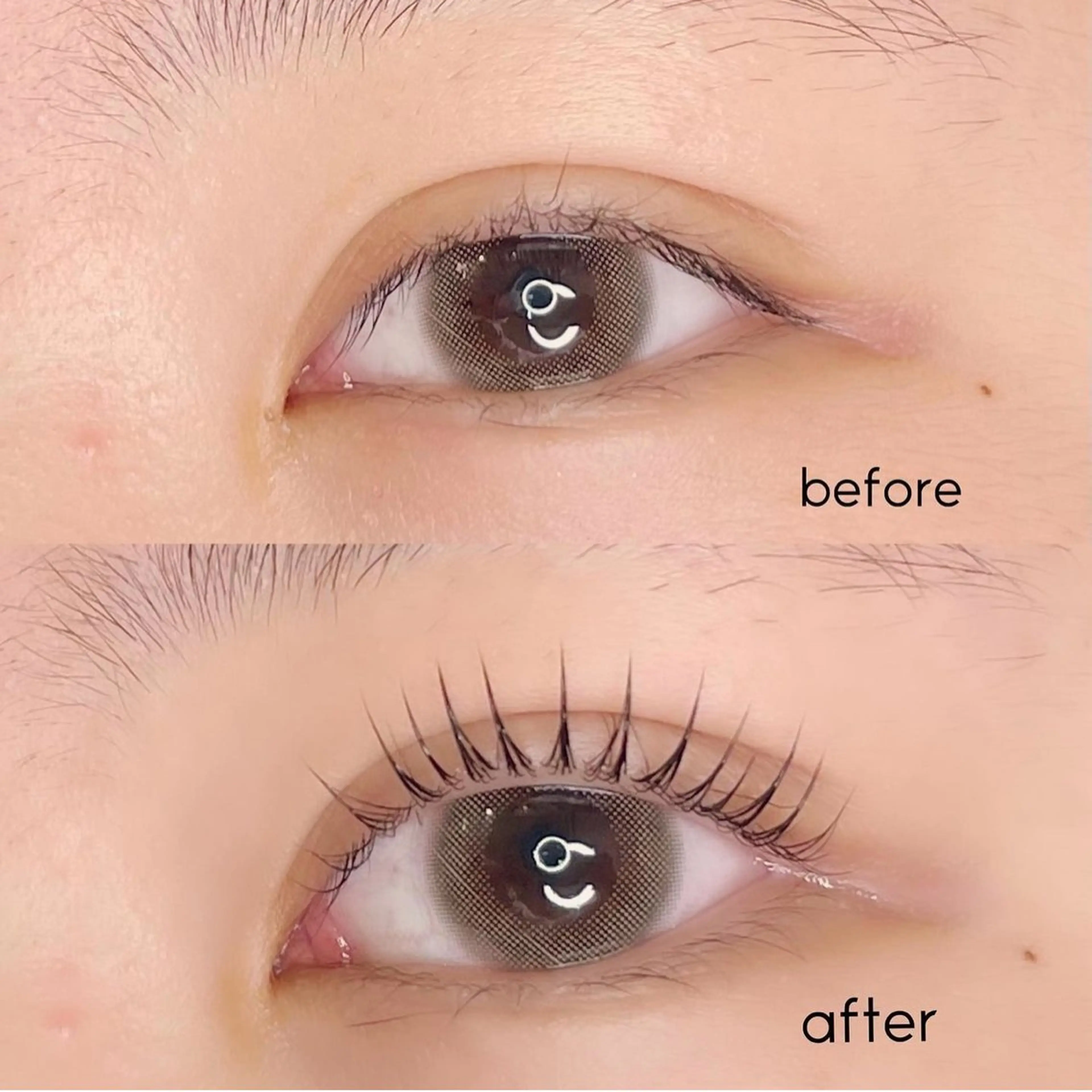 パリジェンヌラッシュリフトorまつげパーマ🤍✨の写真