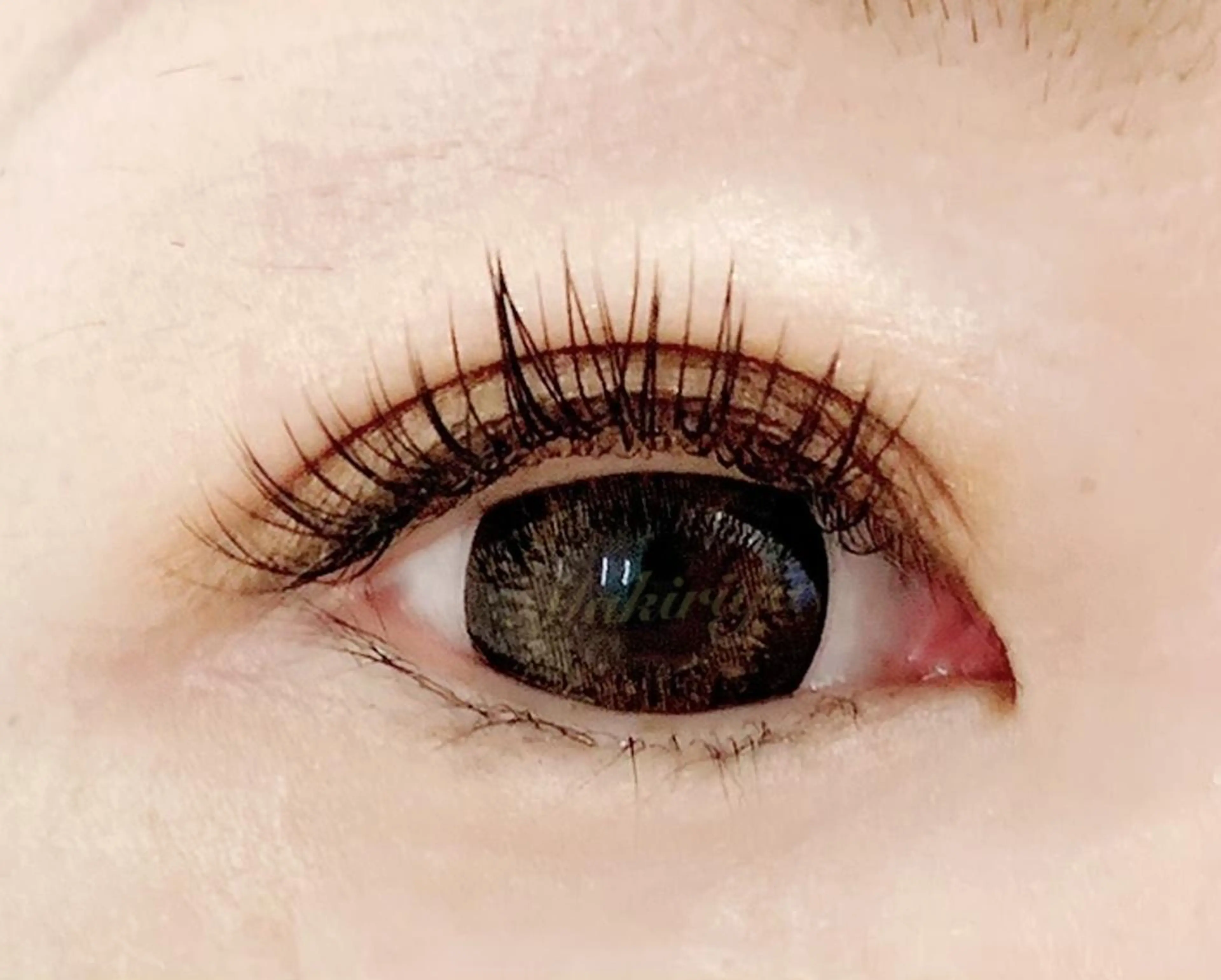 💗￥2800💗140本まで高級セーブルつけ放題❤　minimo限定価格💓の写真