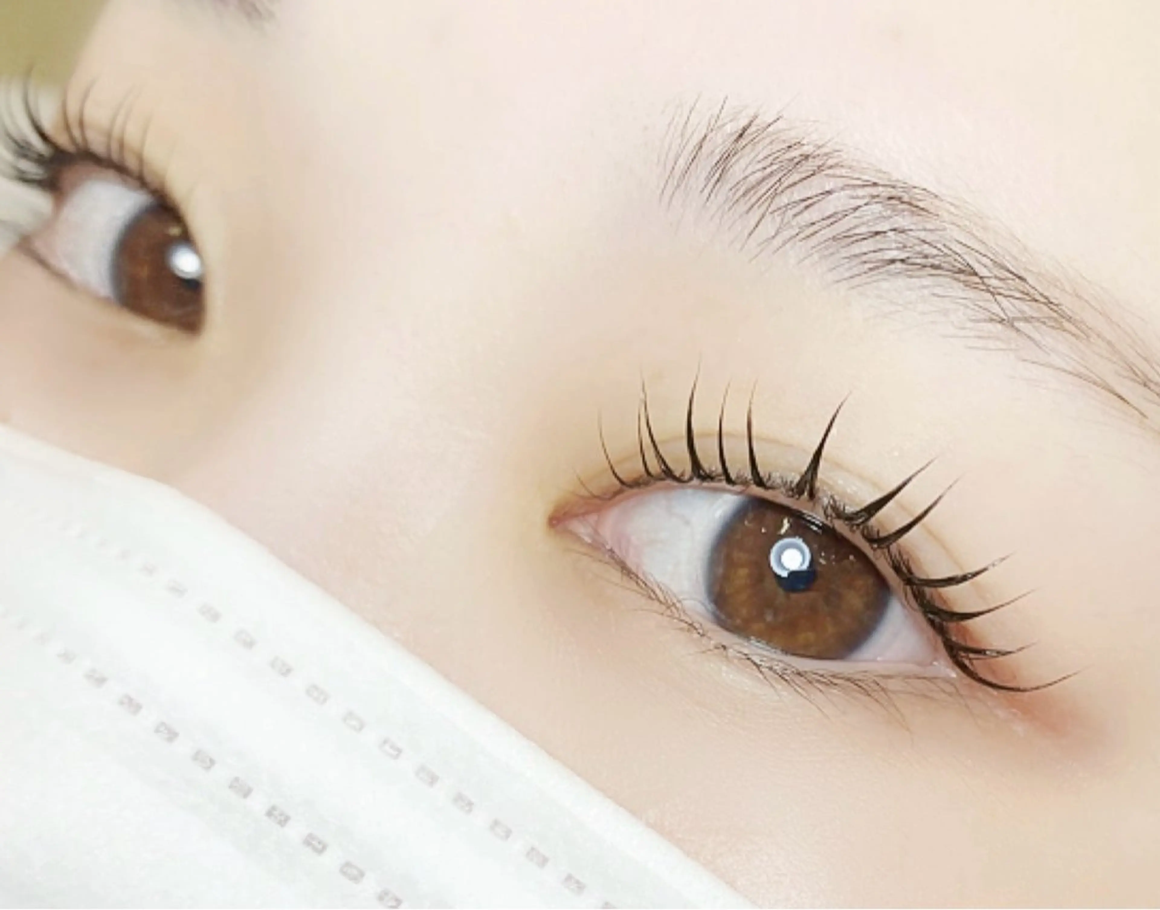 まつげパーマ 🌷韓国アイドル風束感orセパレート仕上げ🌷の写真