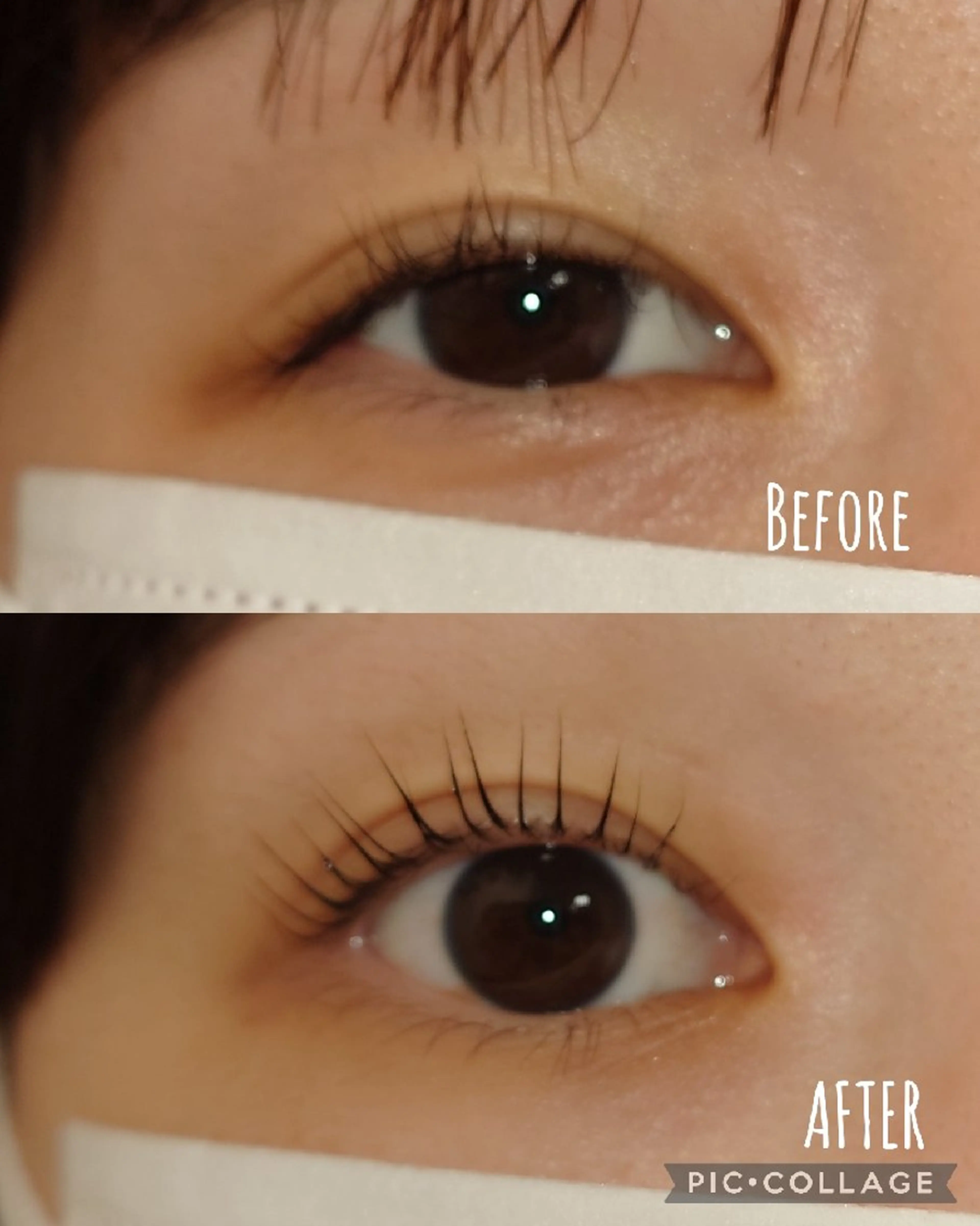 マツエク・マツパ 一重×まつ毛パーマ tico 🌱shiori🌱のマツエク・マツパデザイン