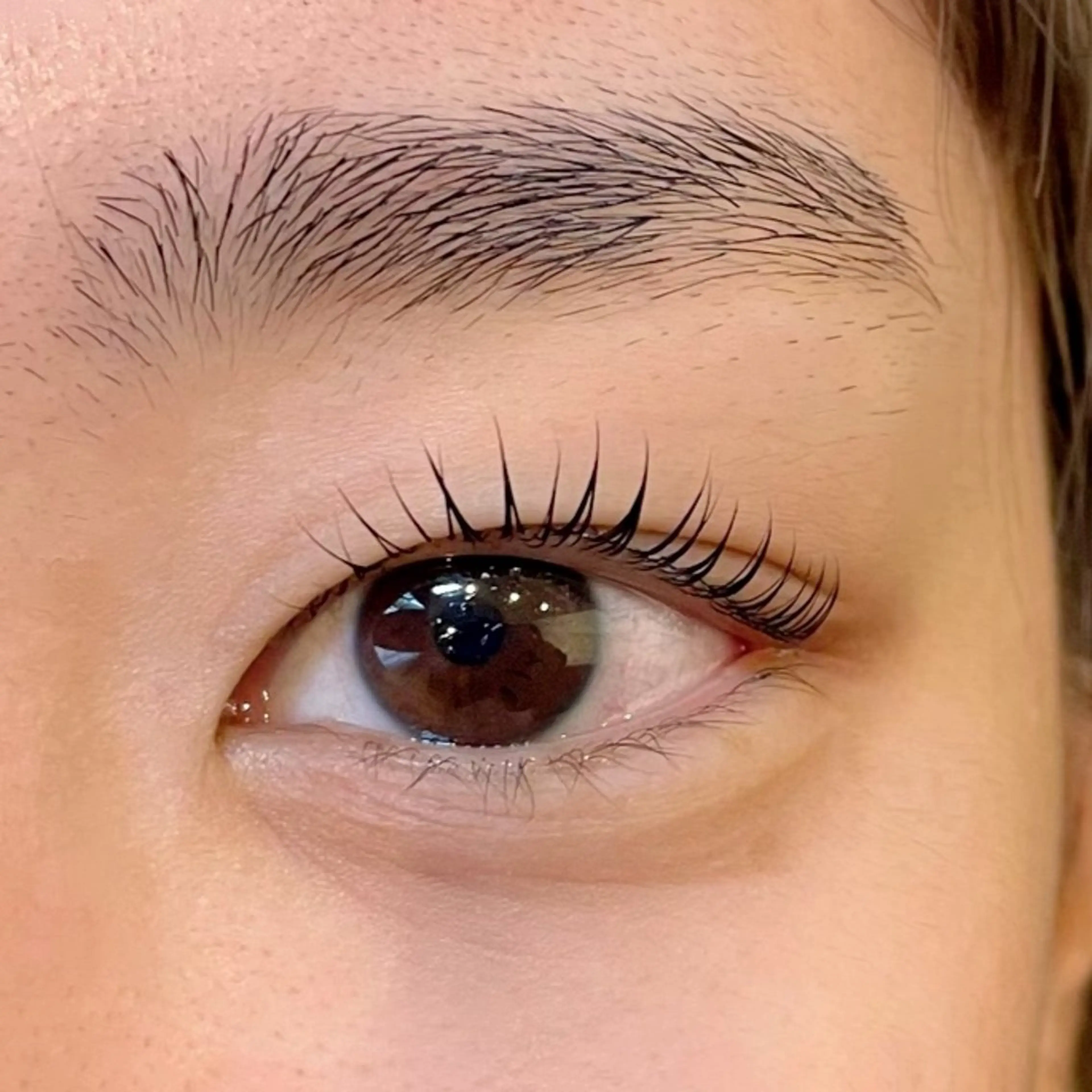 マツエク・マツパ Sakurablow 難波店　小嶋のマツエク・マツパデザイン