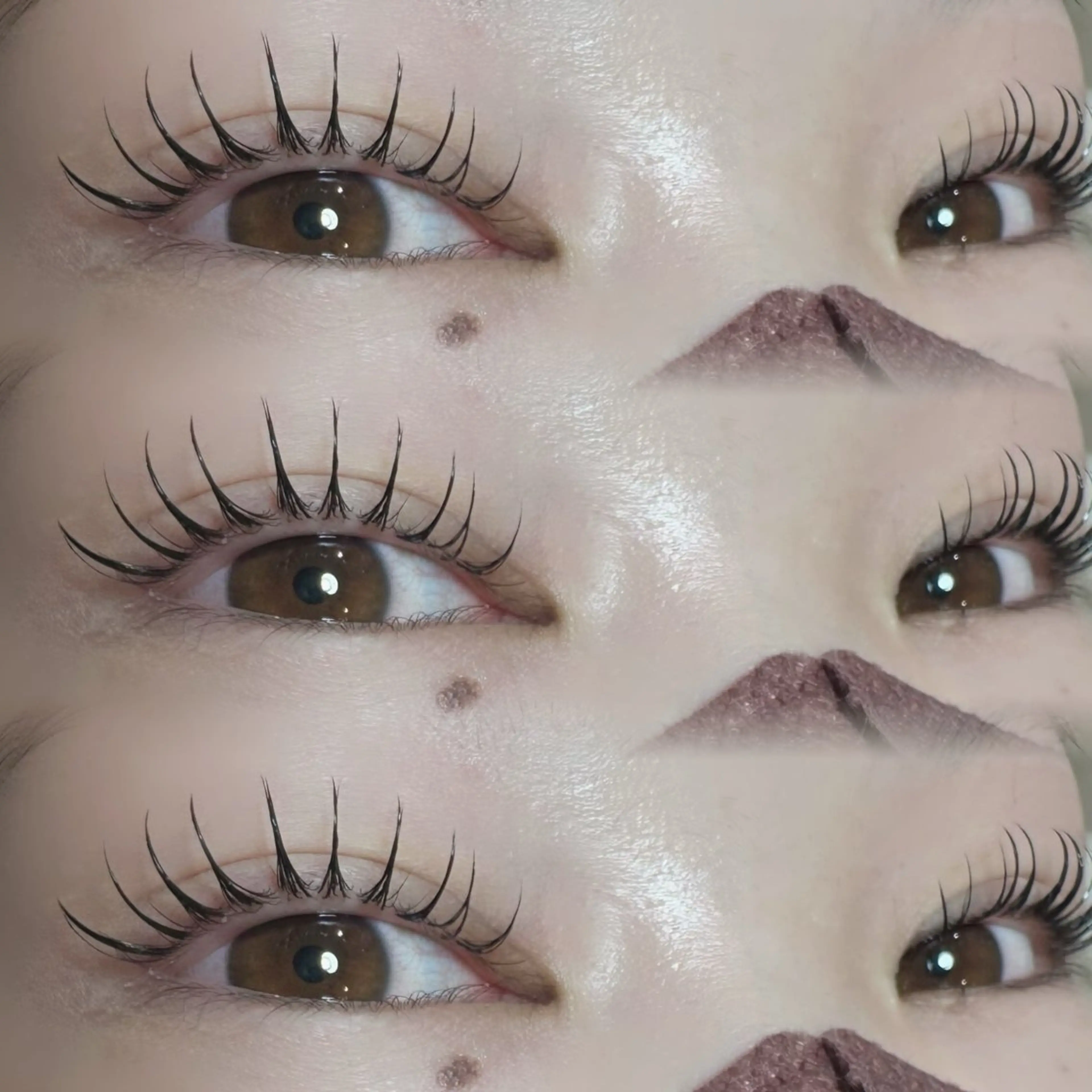 マツエク・マツパ MaaZ 7🦖⸒⸒のマツエク・マツパデザイン