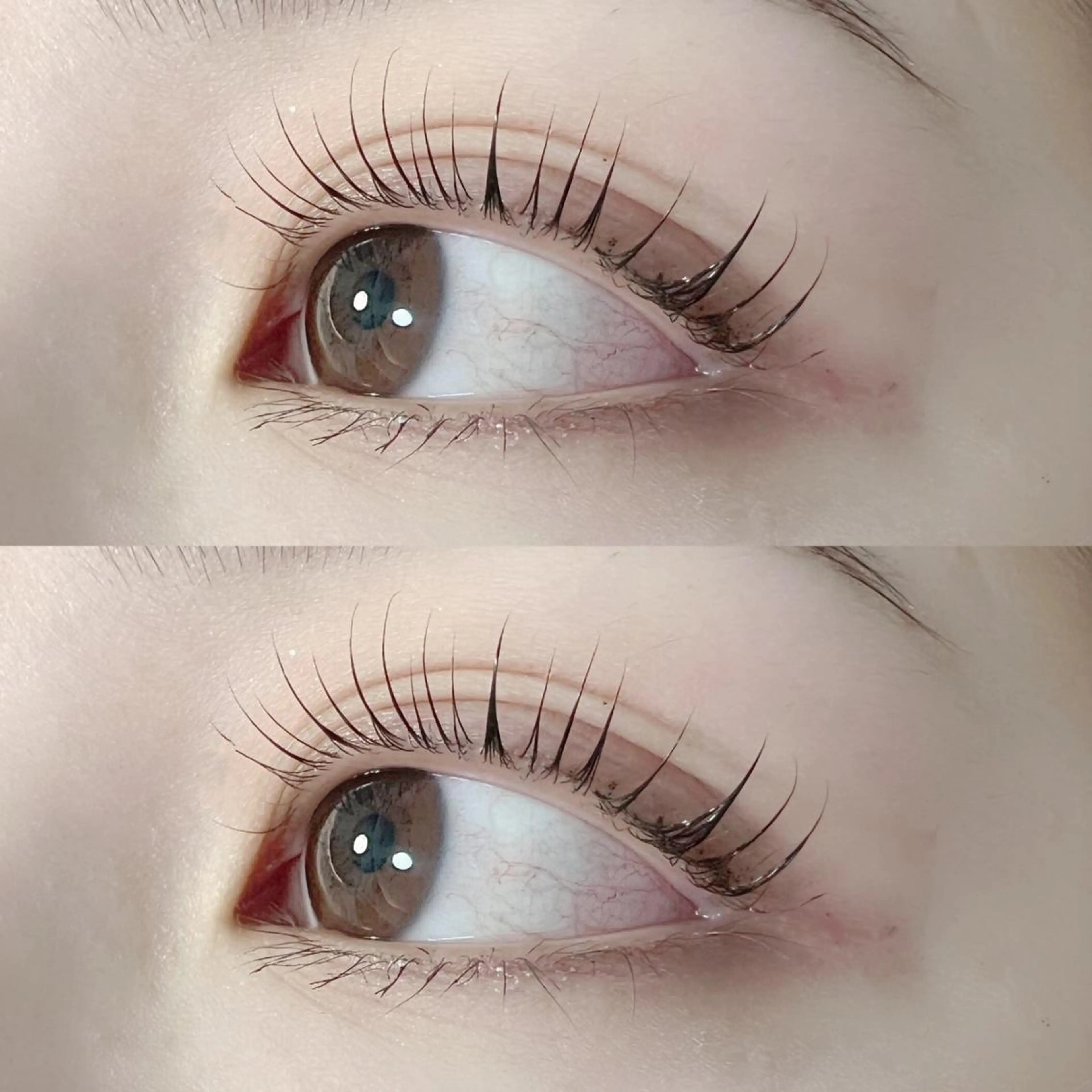 🤎ラッシュリフト➕コーティング剤仕上げ🎁24種類のロッドから選ぶデザインまつ毛パーマ👑💖の写真