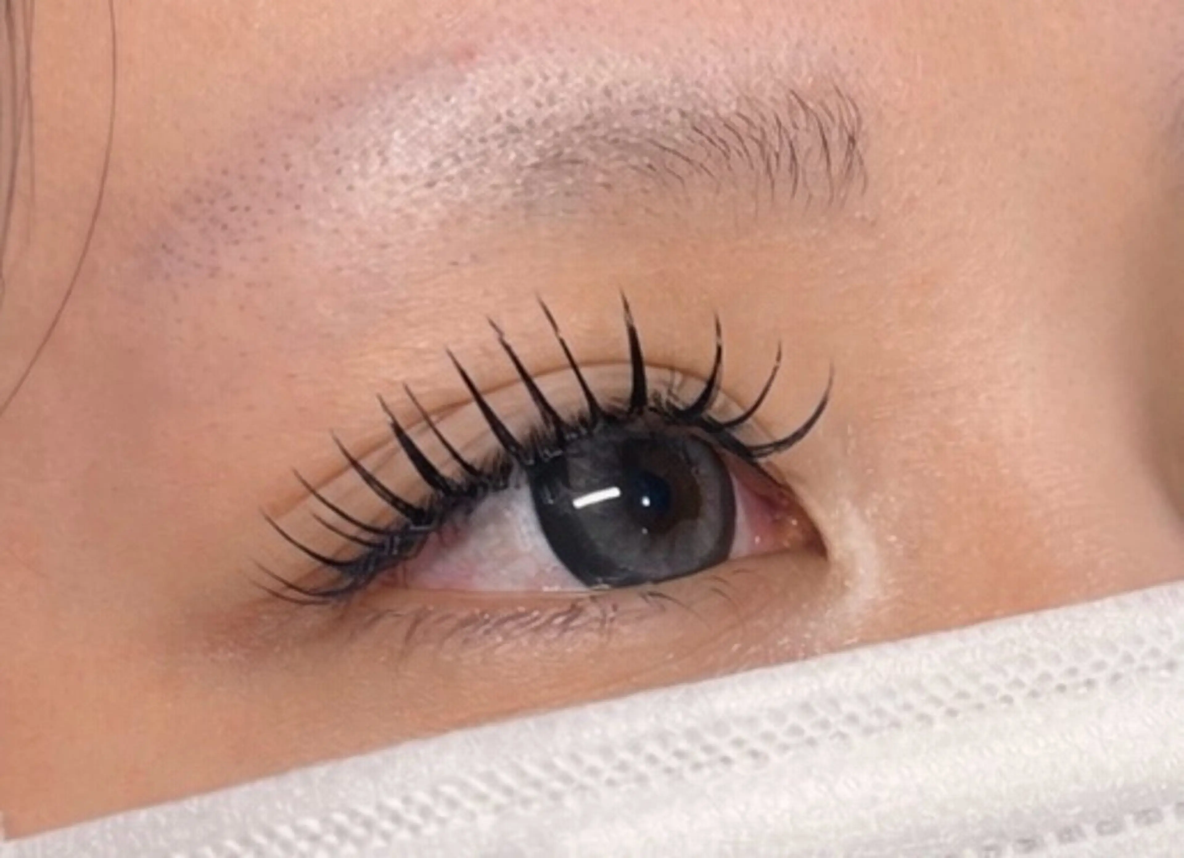 マツエク・マツパ . NOIRスタッフのマツエク・マツパデザイン