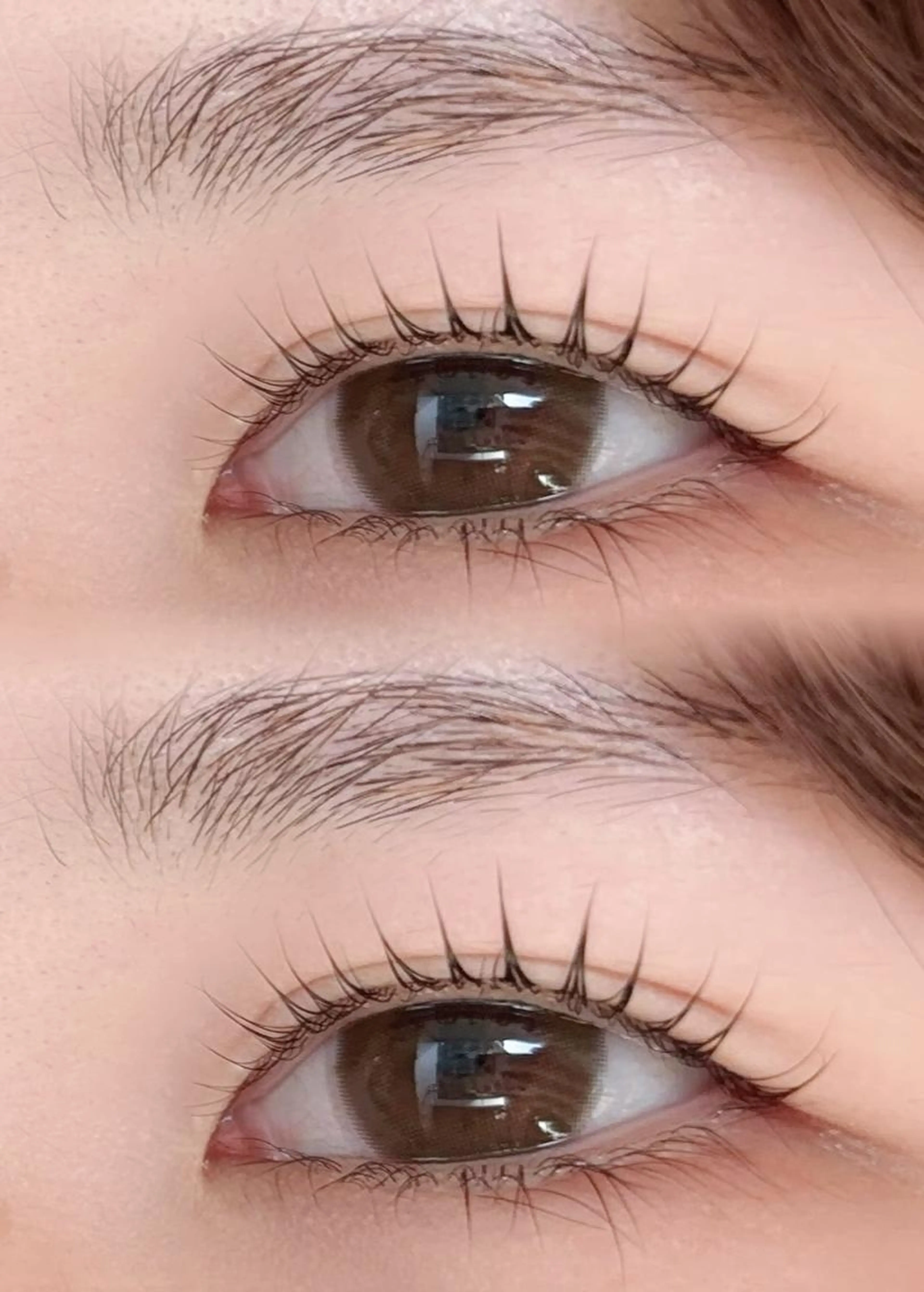 ノーダメージまつ毛💗ケラチンラッシュリフト🌿‬の写真