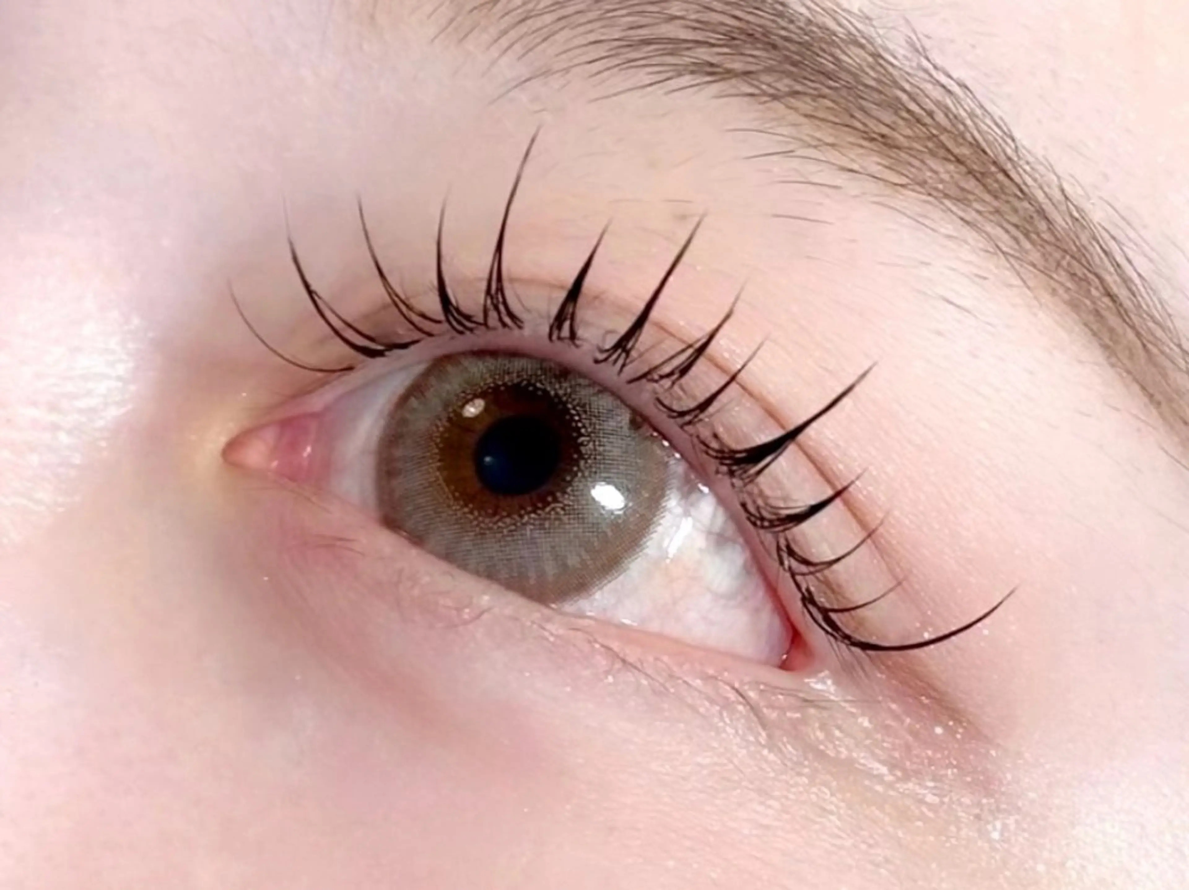 マツエク・マツパ 束感まつ毛 フラットラッシュ ワンホンマツエク マツエク téa. -eyeroom-所属・téa. reina/表参道のマツエク・マツパデザイン