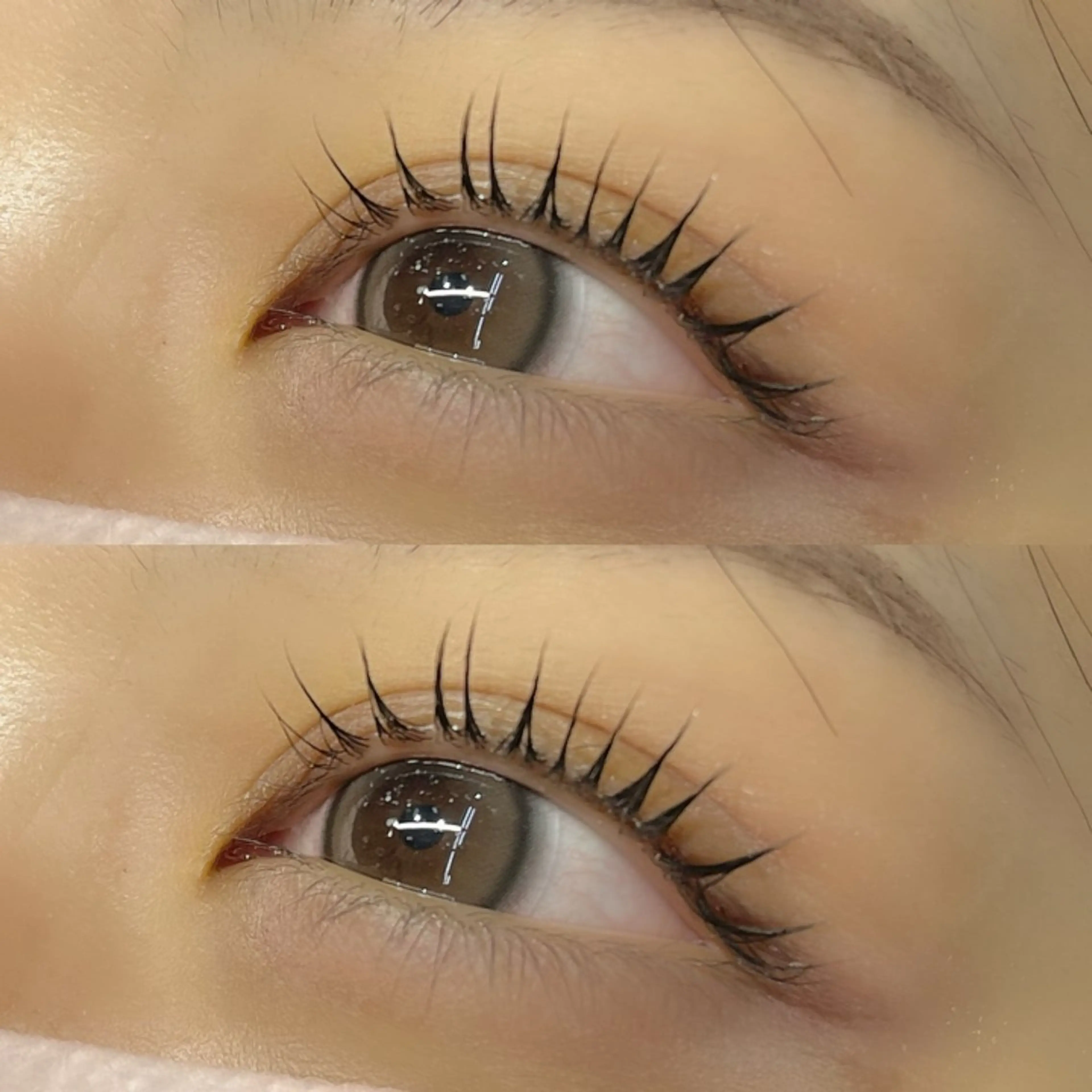 マツエク・マツパ パリジェンヌラッシュリフト マツパ Lupines🫧 MONEのマツエク・マツパデザイン