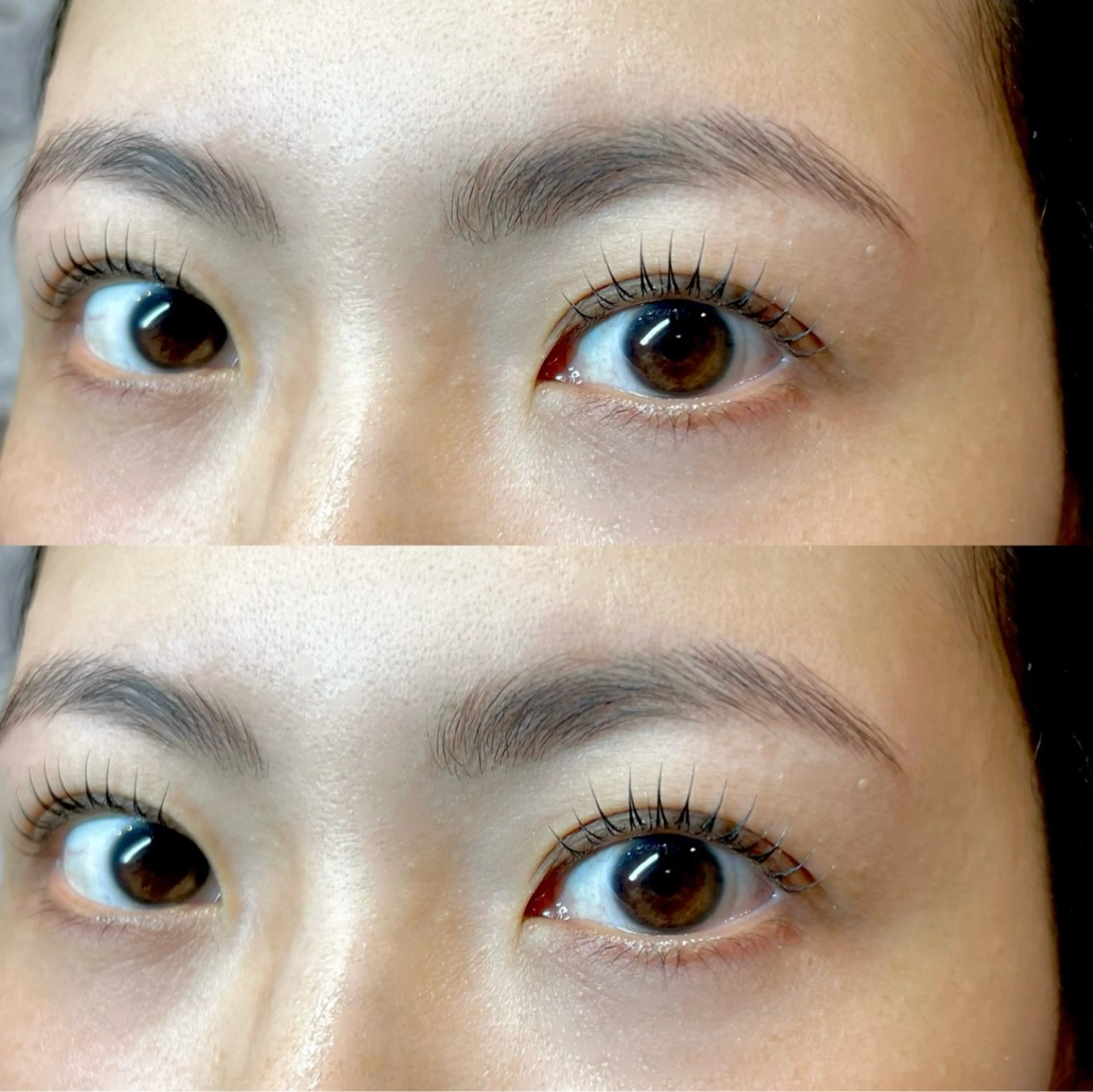アイブロウ ハリウッドブロウリフト 🪞理想のお目元に ✨meache🎠のマツエク・マツパデザイン