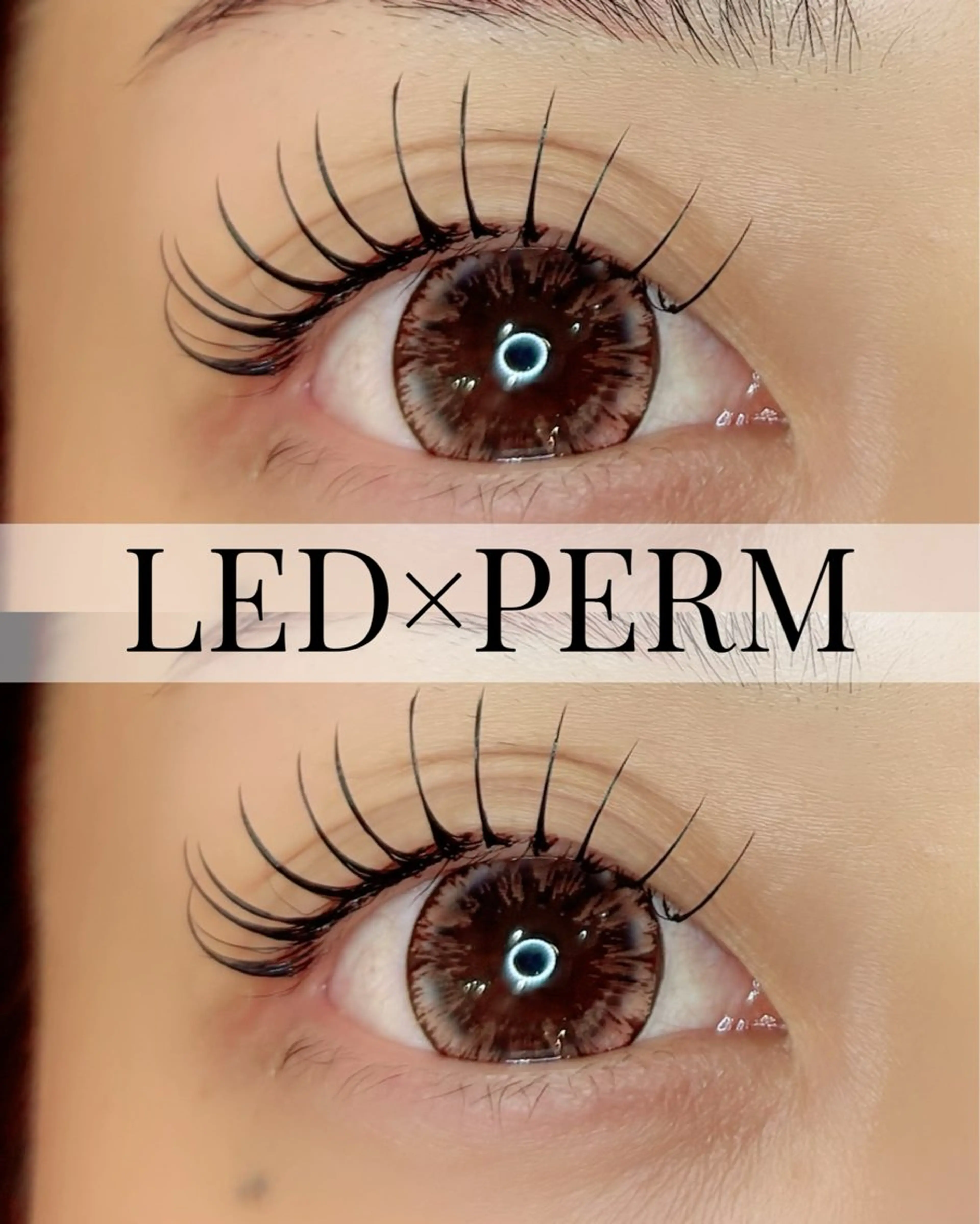 マツエク・マツパ AngeMignon .macoのマツエク・マツパデザイン