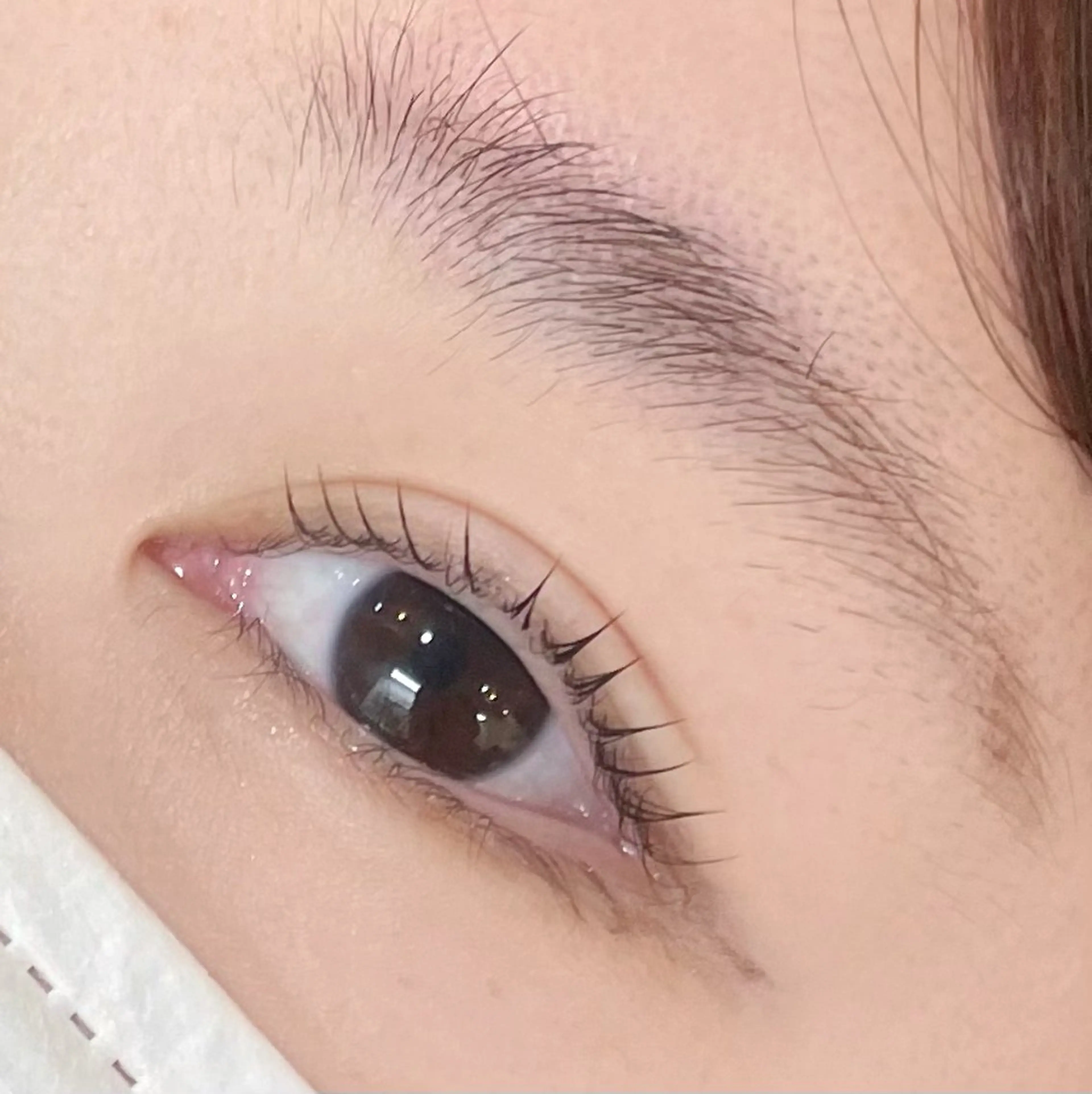 マツエク・マツパ 👑EYELA 柏／ 川村👑のマツエク・マツパデザイン